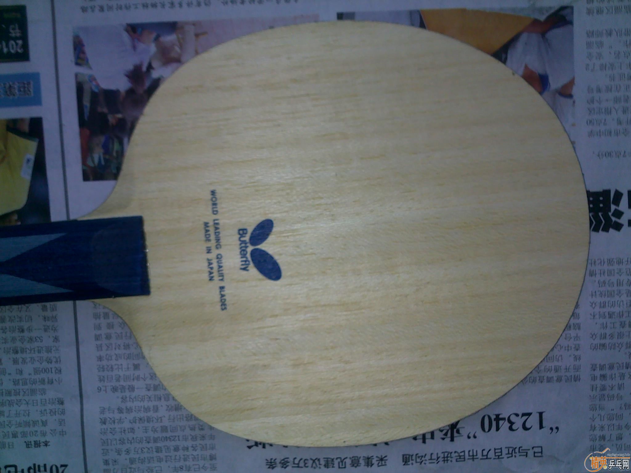 ��С����st bollalc8����