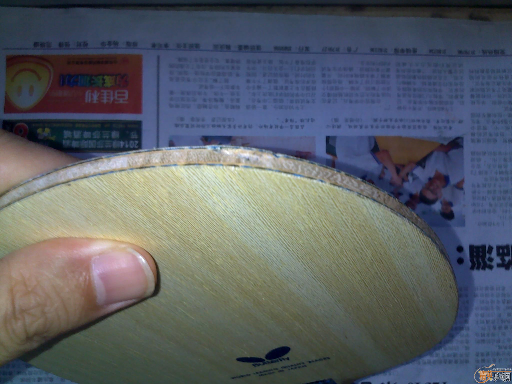 ��С����st bollalc8����