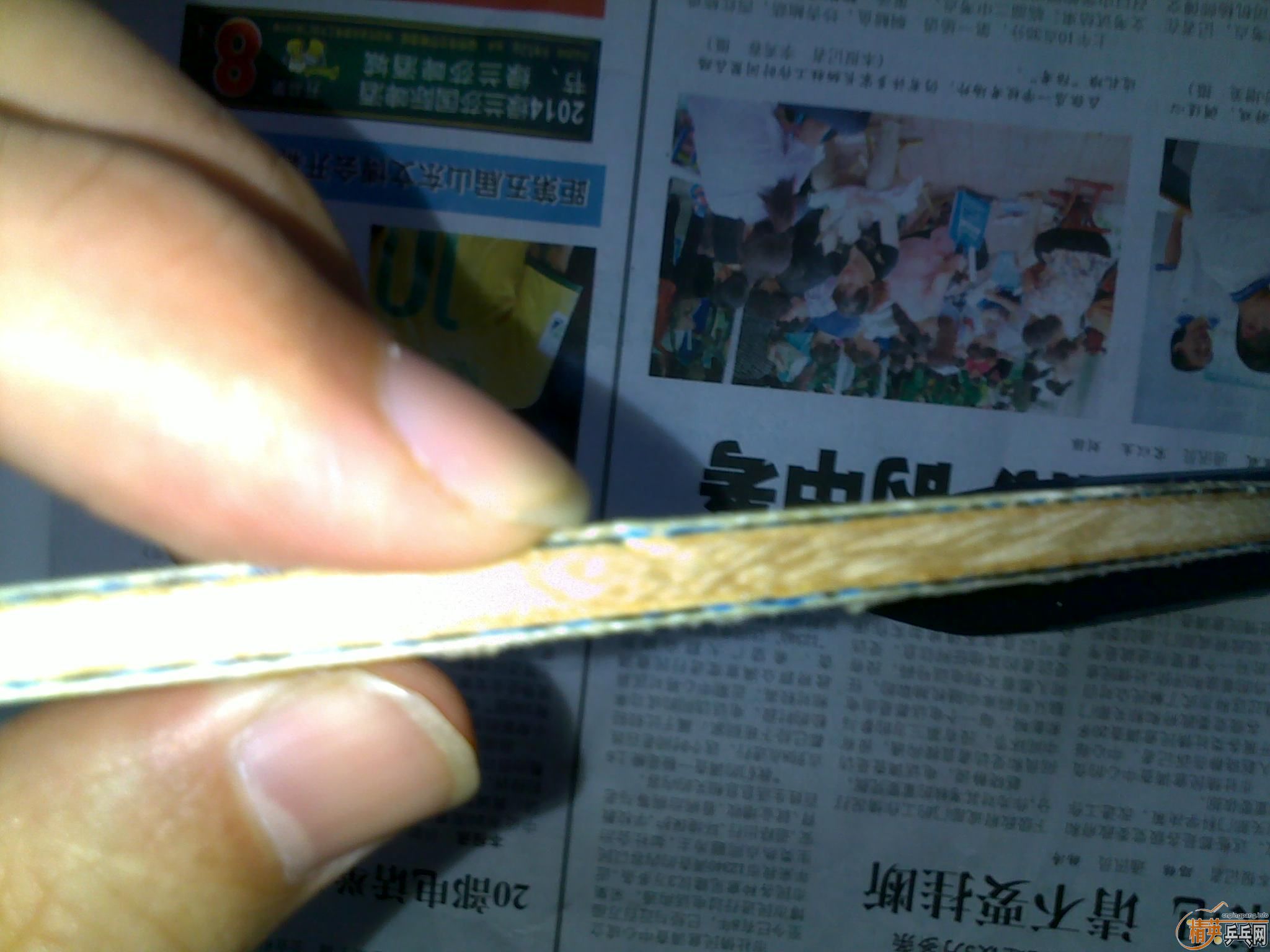 ��С����st bollalc8����