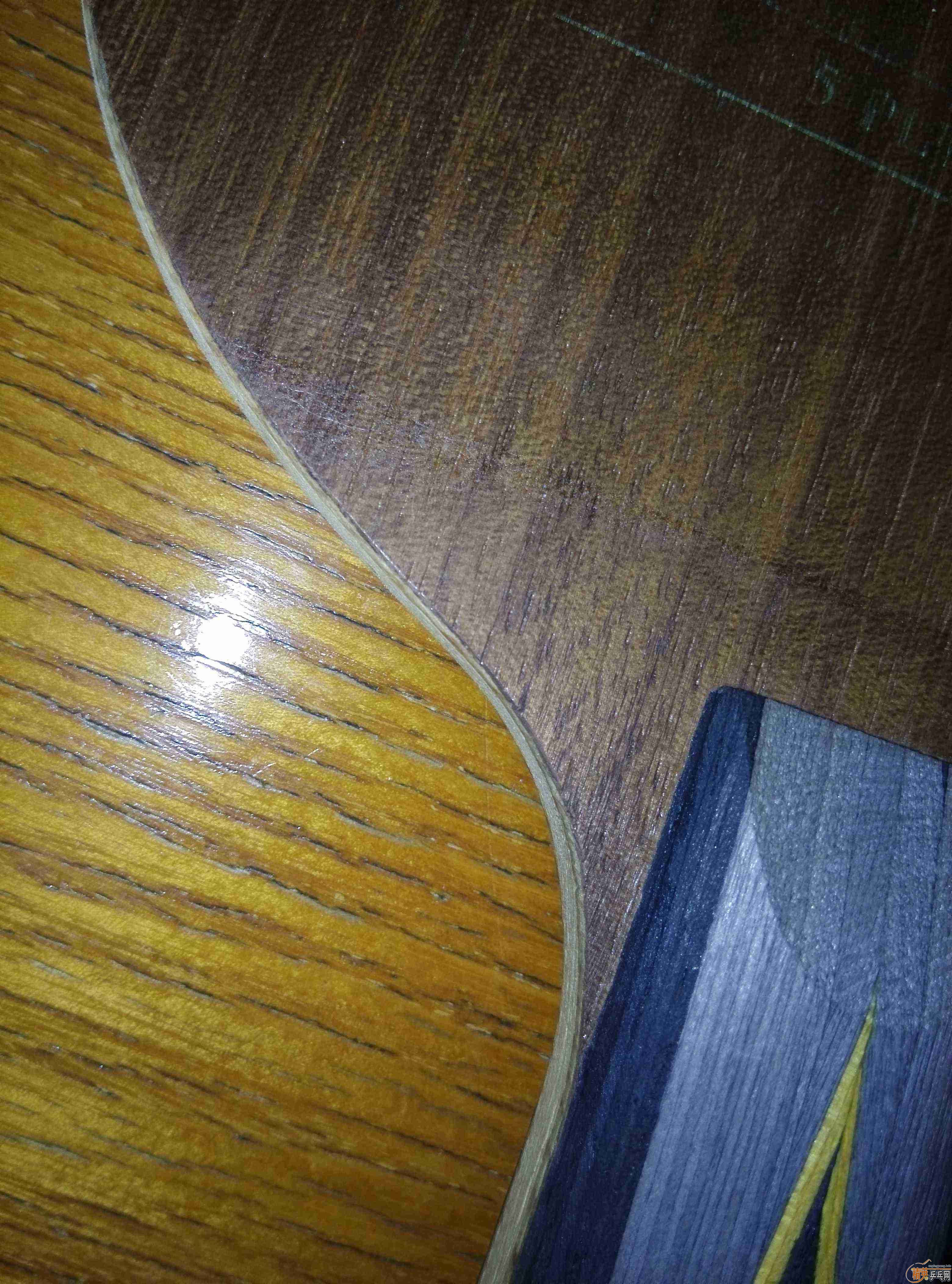 ȽµлyeoӦл
