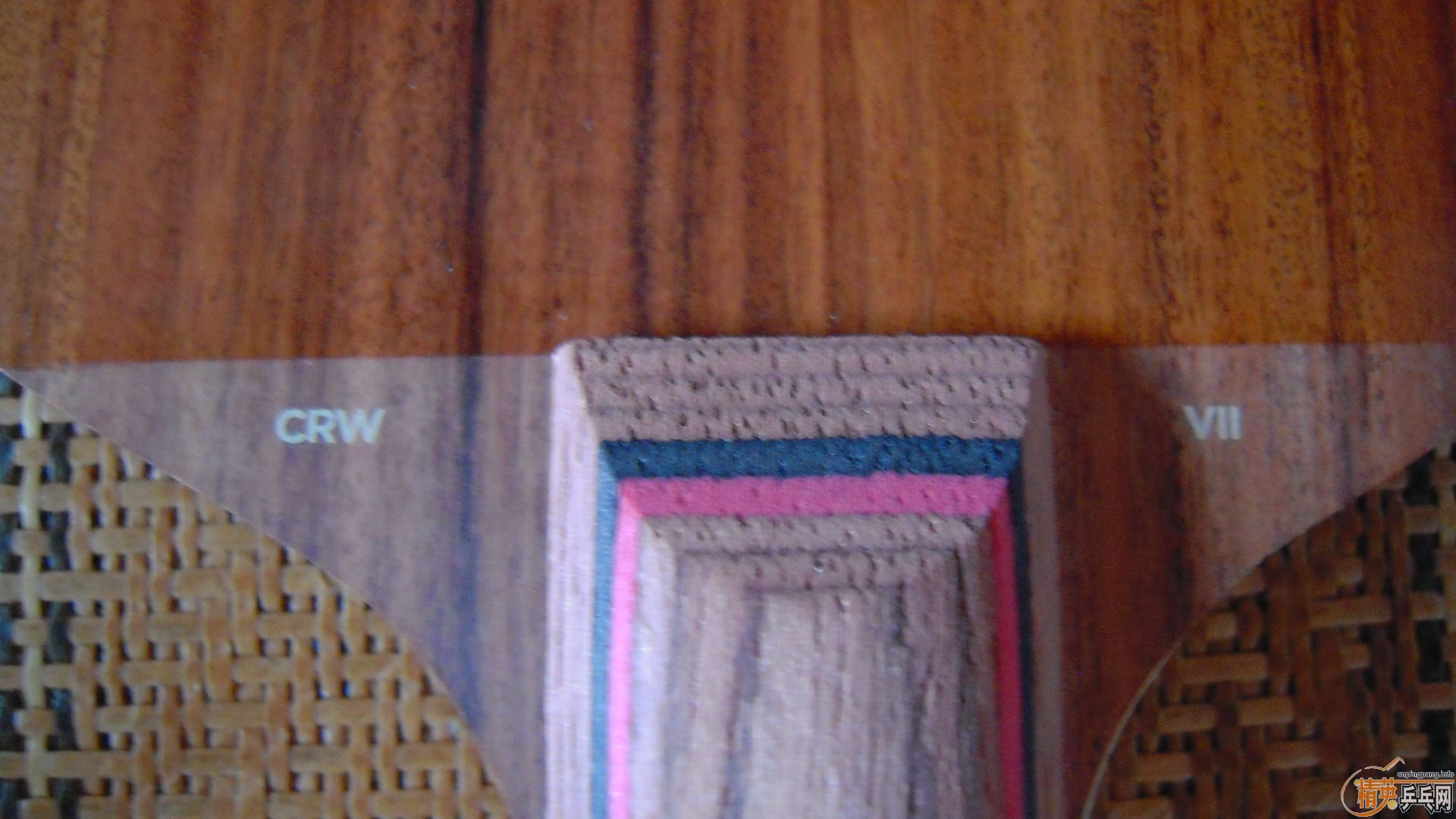 ��������˹�ٿ���һ����CRW��������У���100�ˣ�810���ʣ�