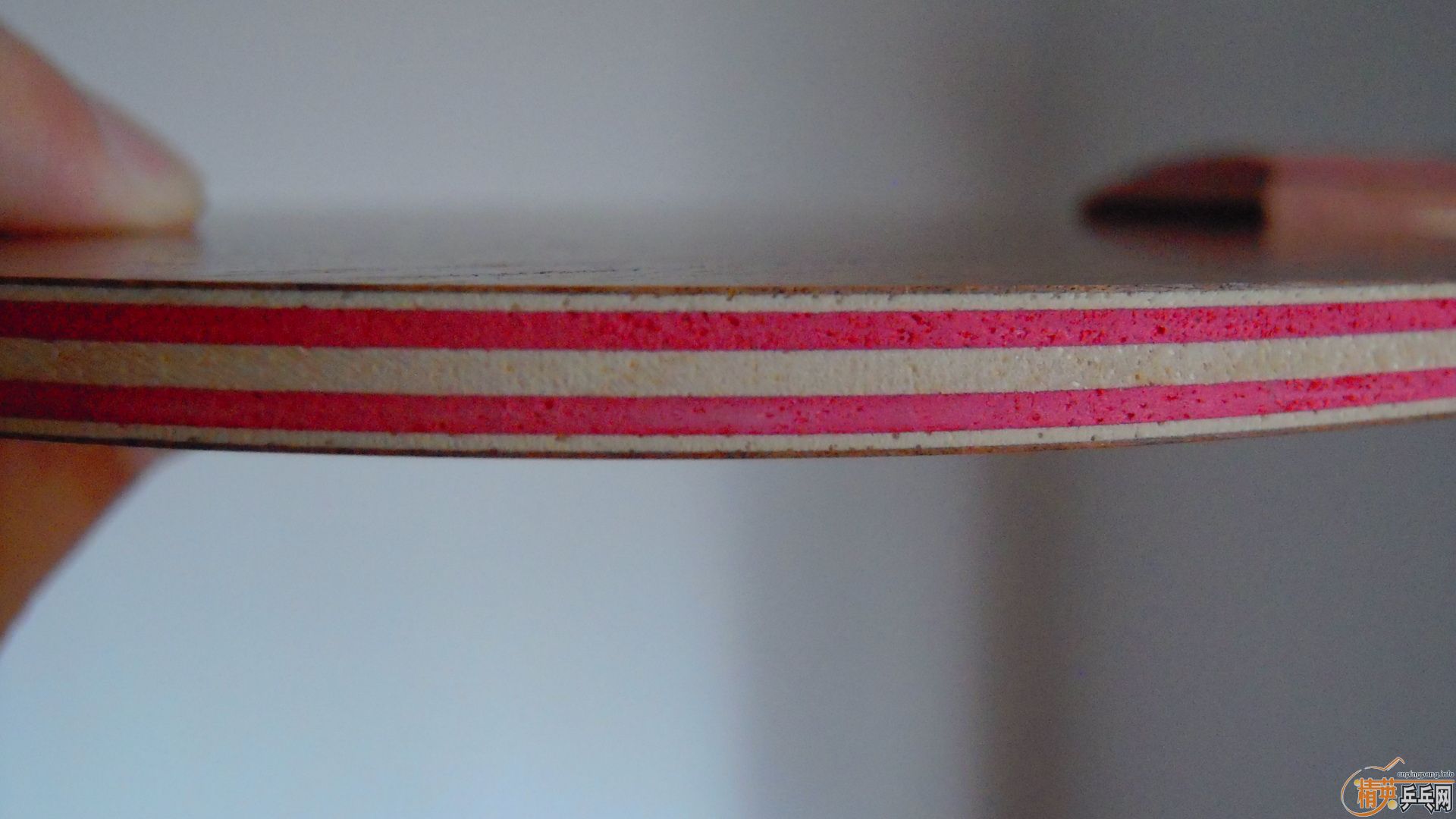 ��������˹�ٿ���һ����CRW��������У���100�ˣ�810���ʣ�