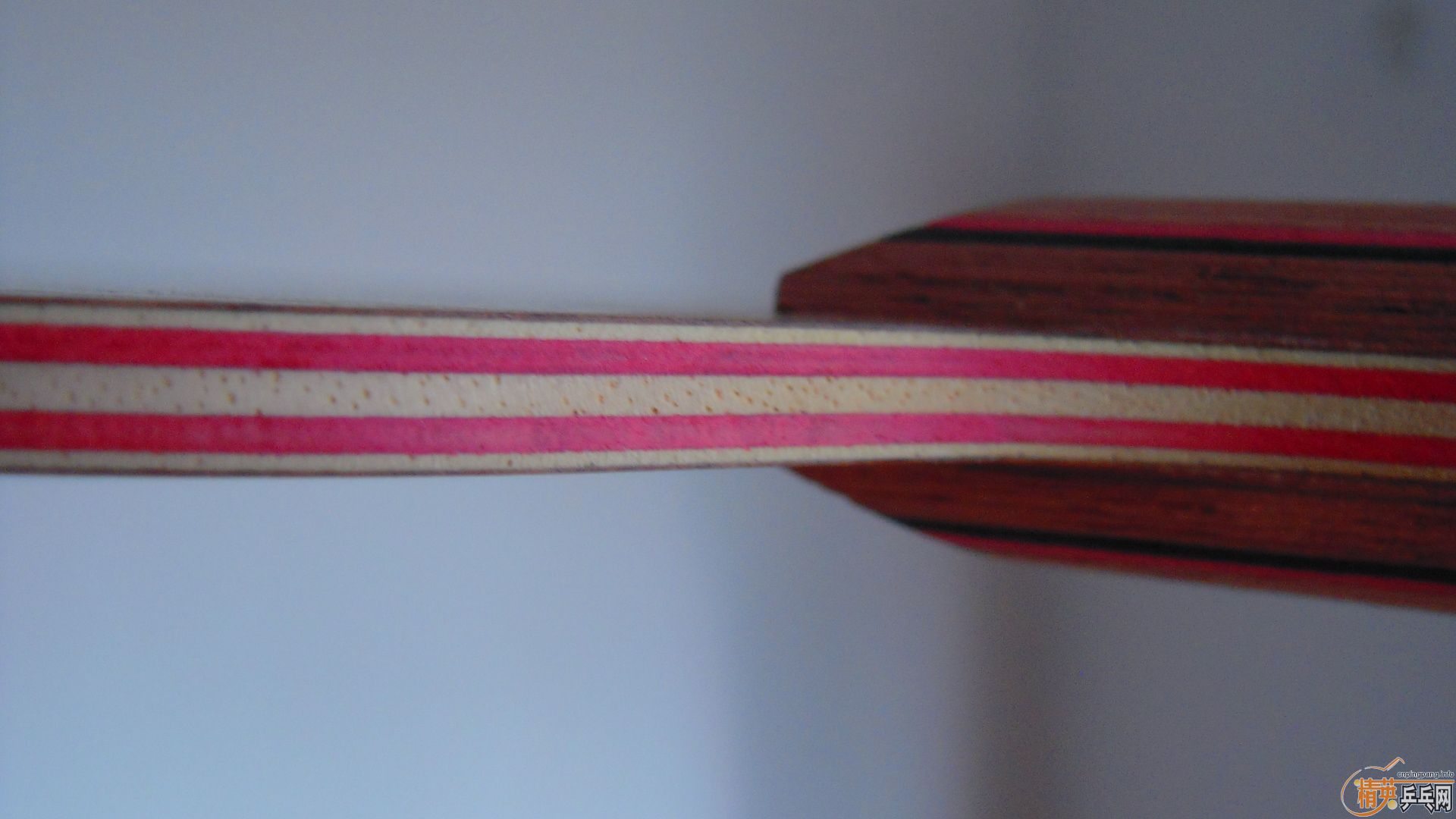 ��������˹�ٿ���һ����CRW��������У���100�ˣ�810���ʣ�