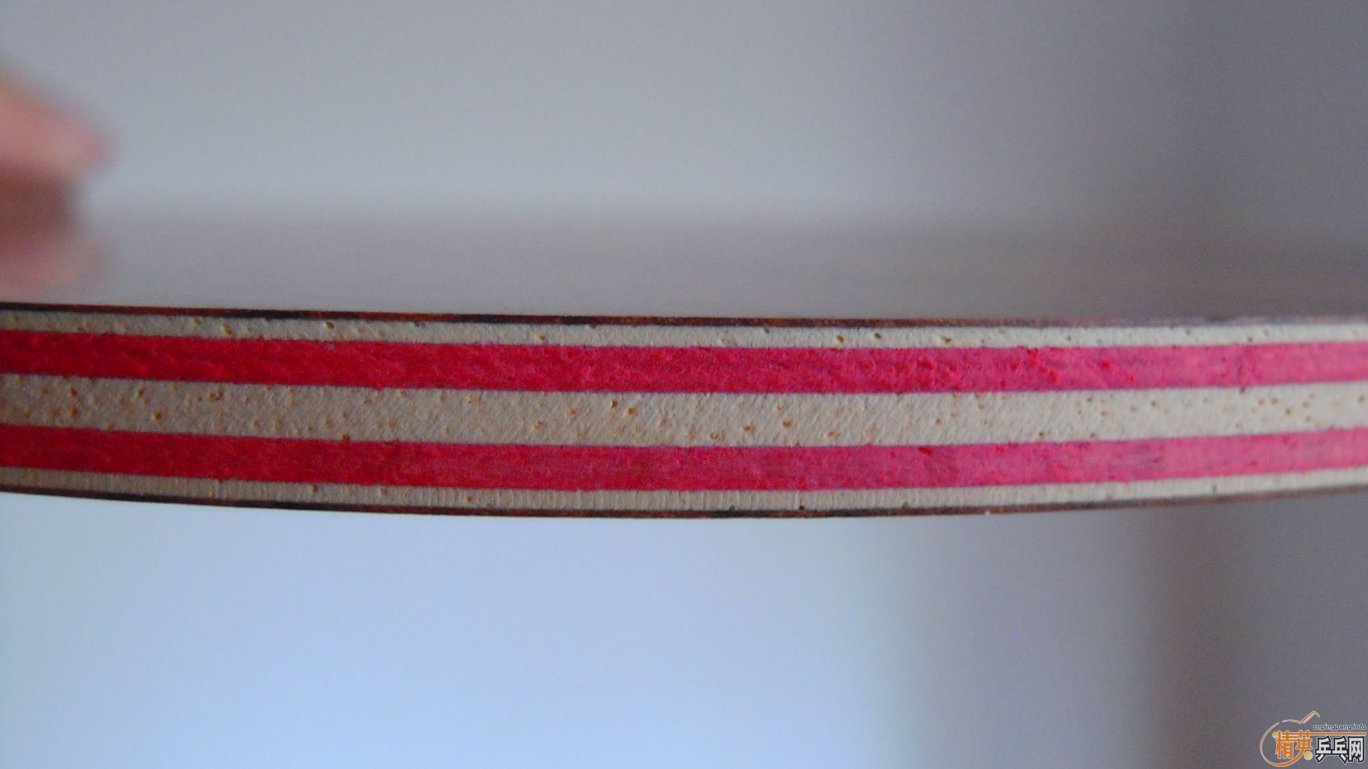 ��������˹�ٿ���һ����CRW��������У���100�ˣ�810���ʣ�