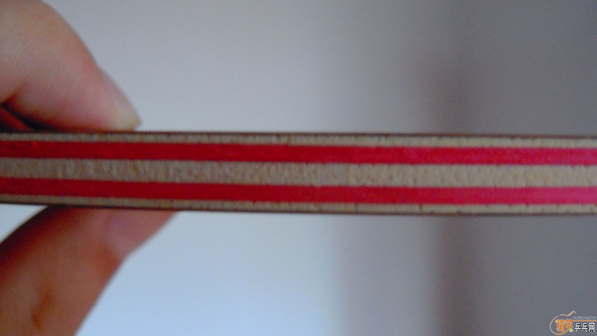 ��������˹�ٿ���һ����CRW��������У���100�ˣ�810���ʣ�