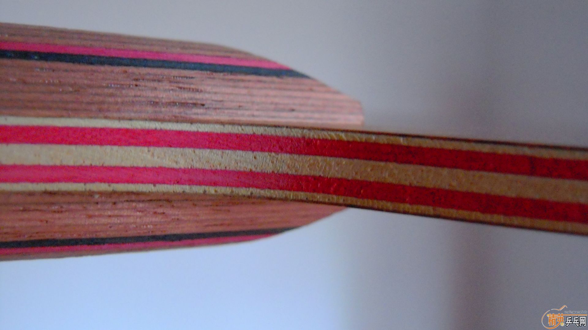 ��������˹�ٿ���һ����CRW��������У���100�ˣ�810���ʣ�