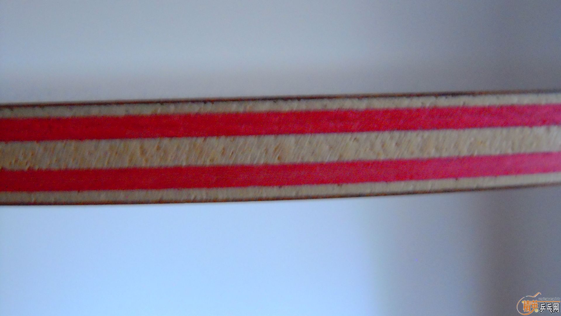 ��������˹�ٿ���һ����CRW��������У���100�ˣ�810���ʣ�