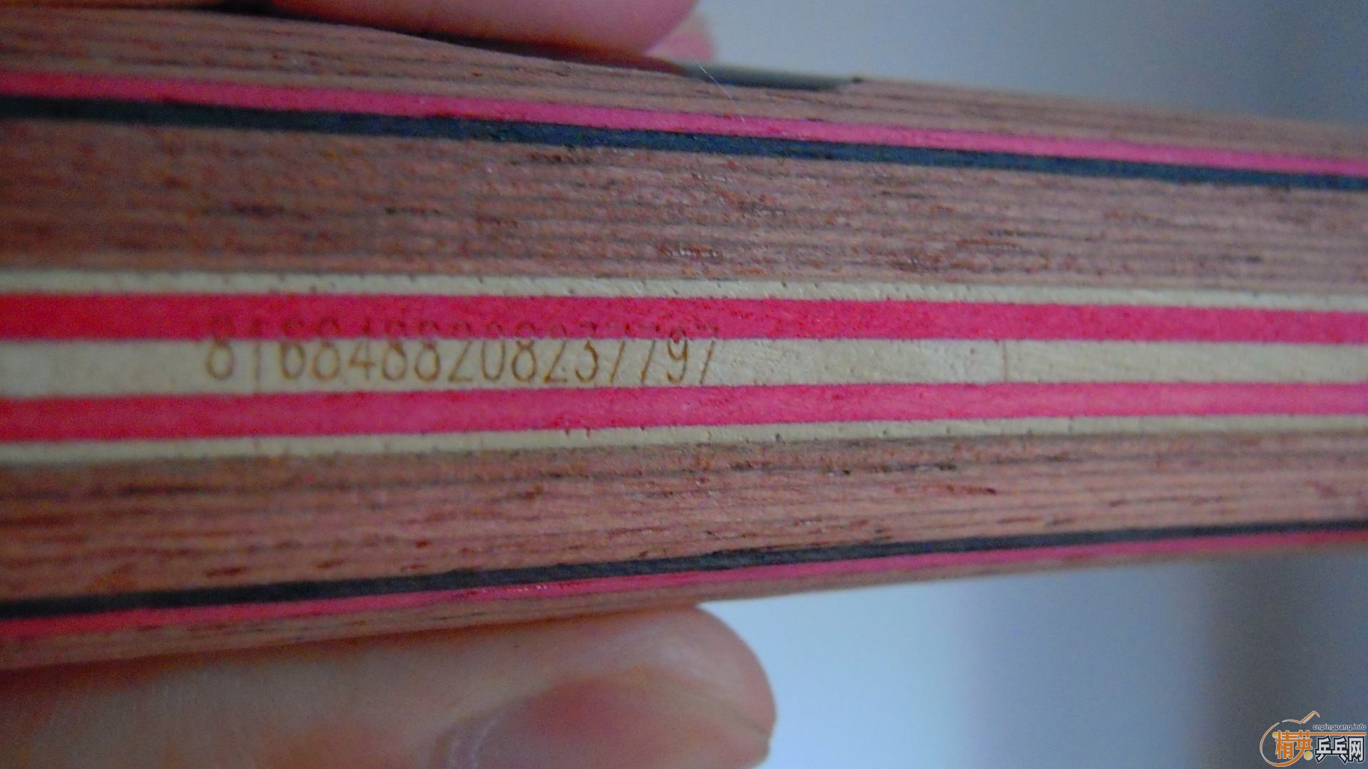 ��������˹�ٿ���һ����CRW��������У���100�ˣ�810���ʣ�