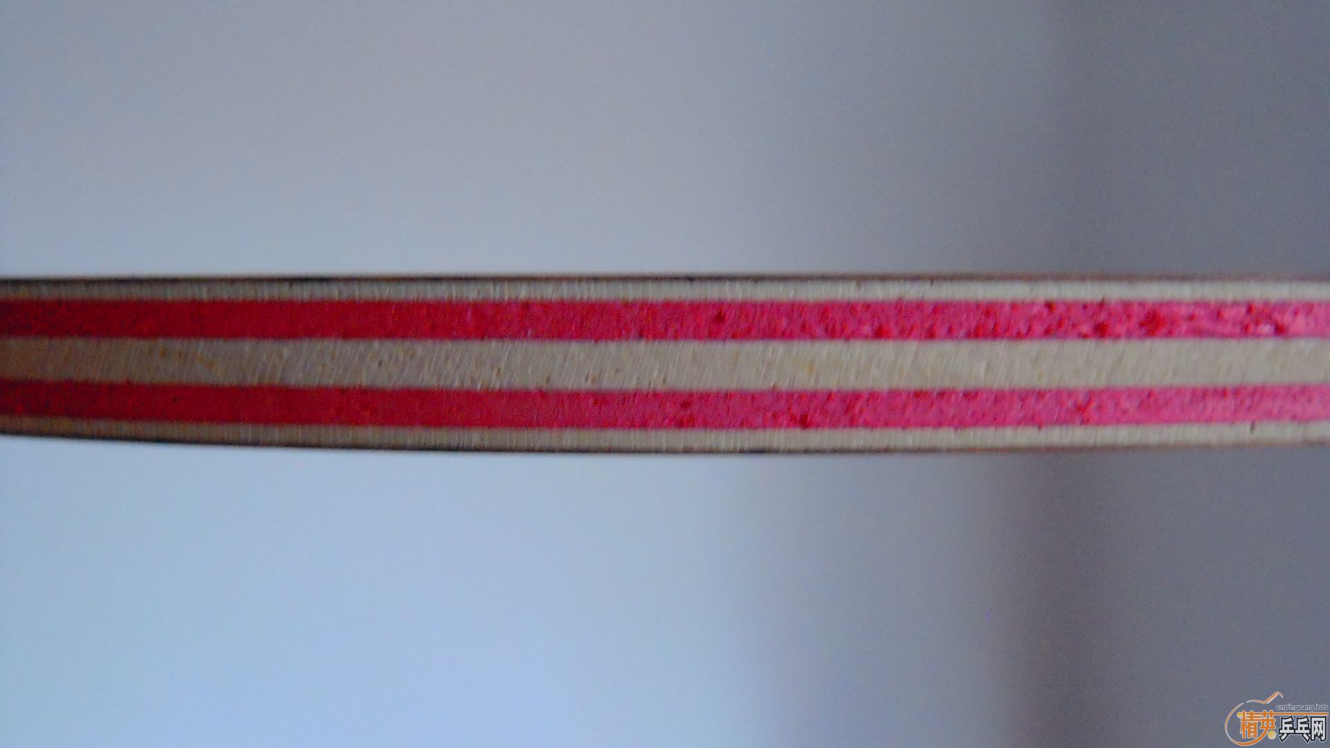 ��������˹�ٿ���һ����CRW��������У���100�ˣ�810���ʣ�