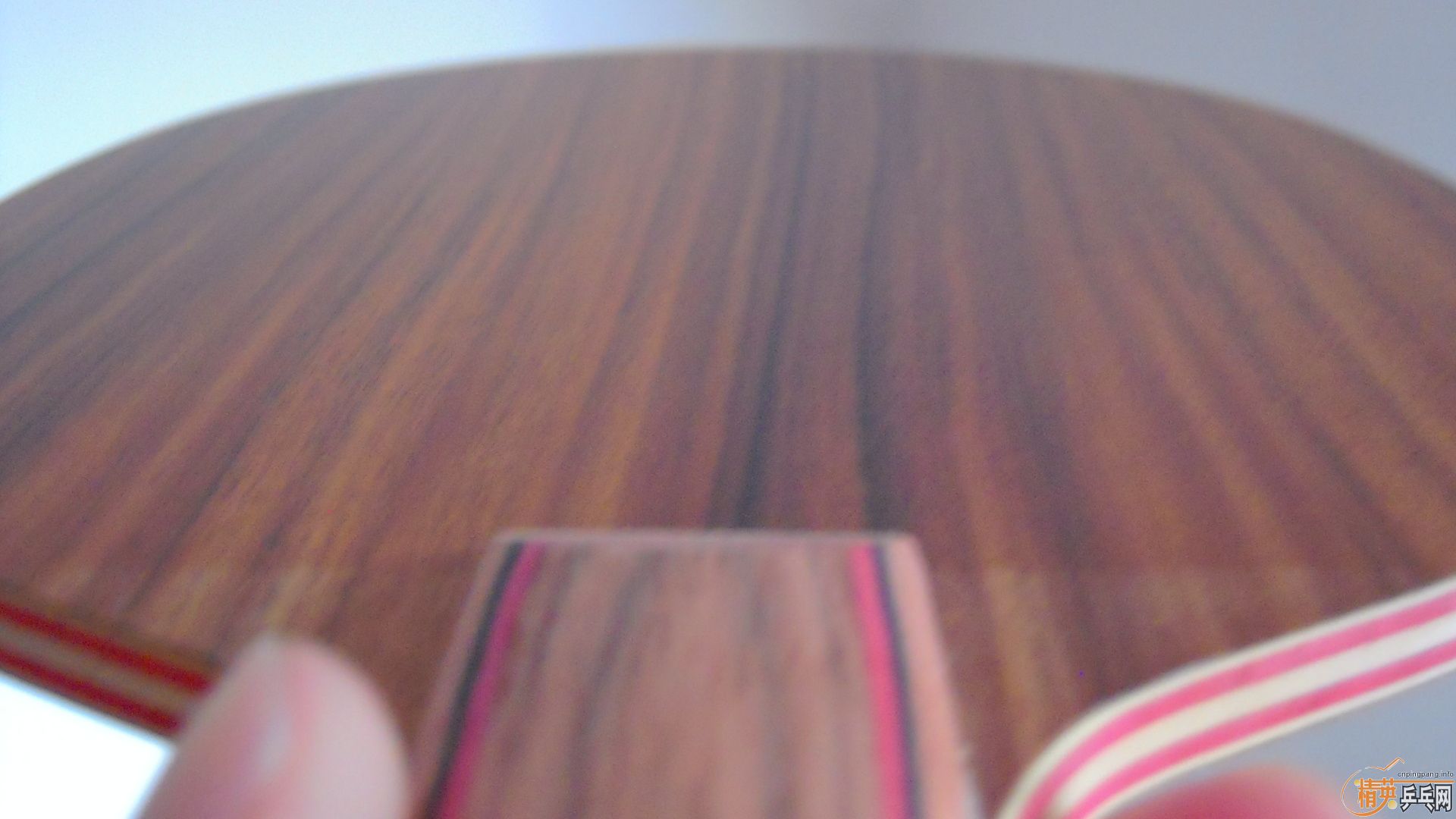 ��������˹�ٿ���һ����CRW��������У���100�ˣ�810���ʣ�