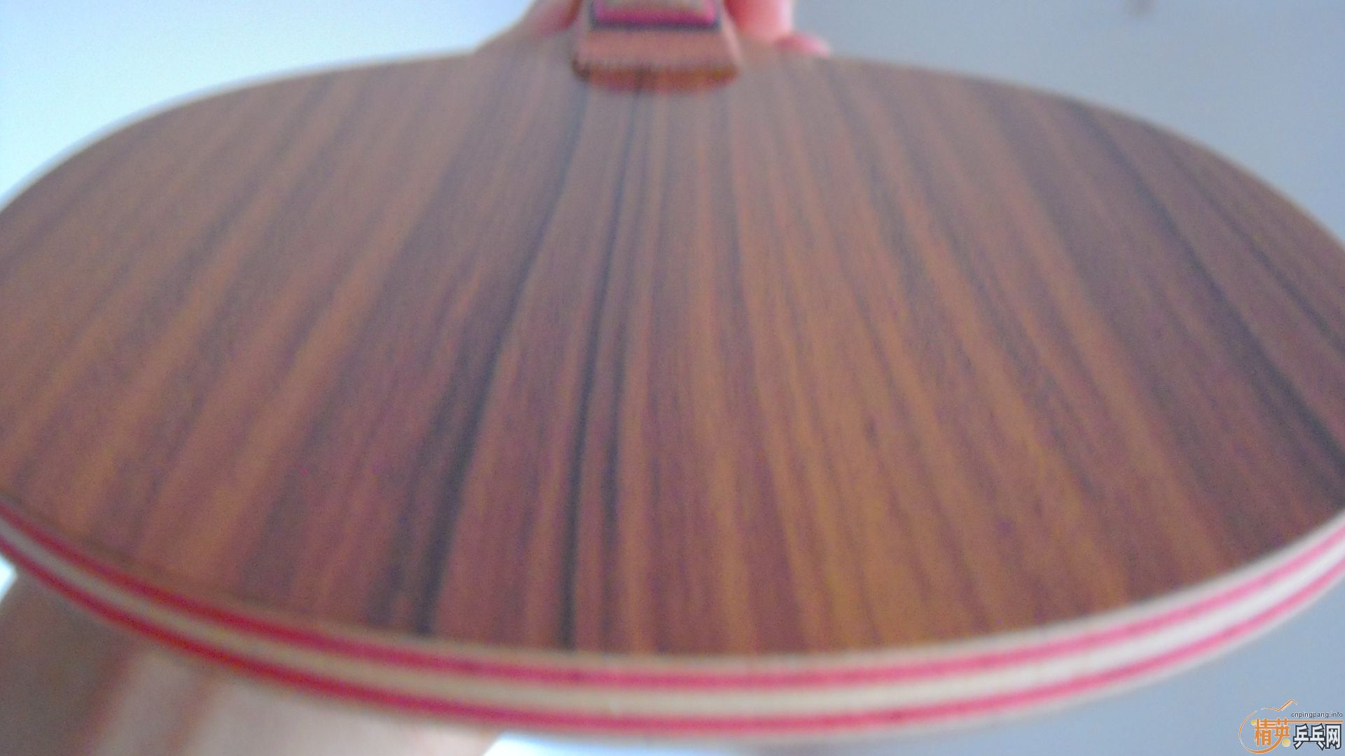 ��������˹�ٿ���һ����CRW��������У���100�ˣ�810���ʣ�