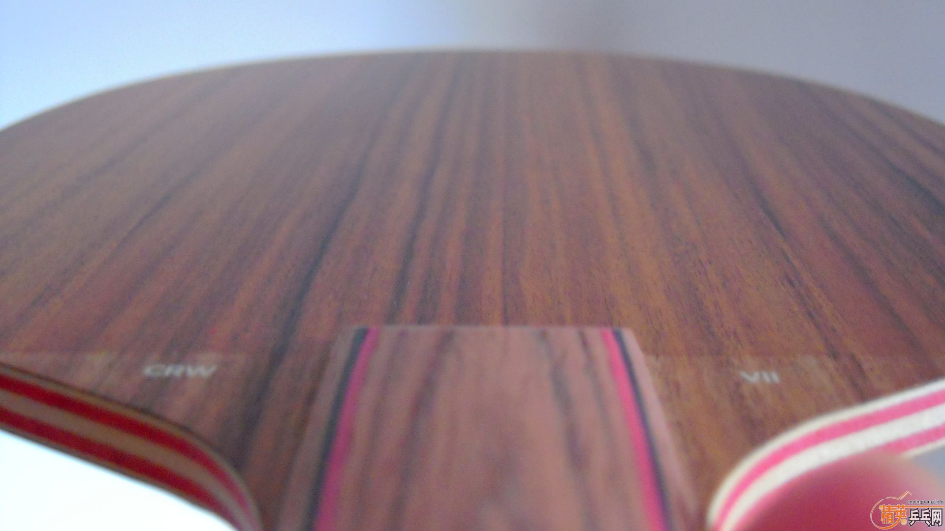 ��������˹�ٿ���һ����CRW��������У���100�ˣ�810���ʣ�