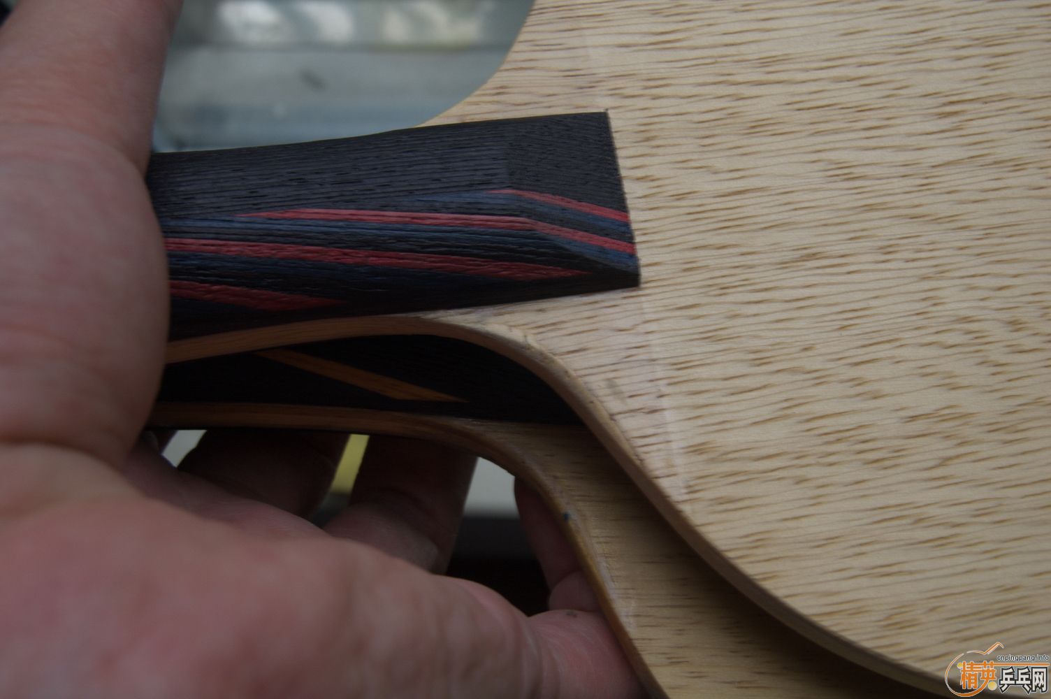 �ó�ɫStiga�л����±�TL���ϱ�����AC��215һֻ����������������۸�����ֱ������