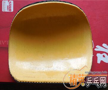 ����_��������