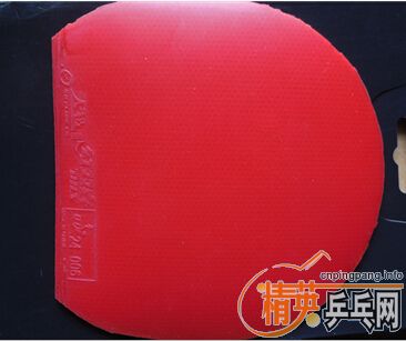 ����_��������