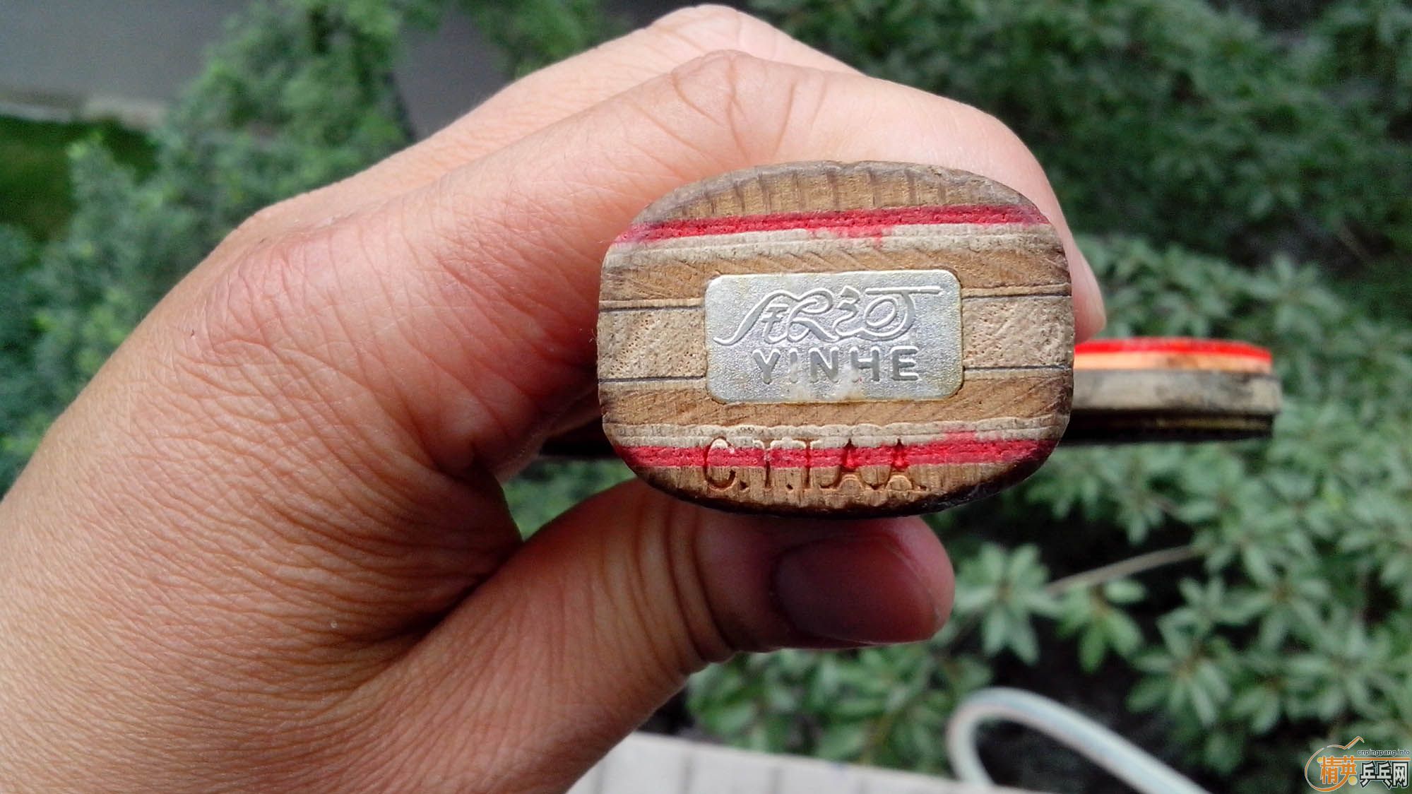 ����T2 ˫̼�� ��729�� ��80����