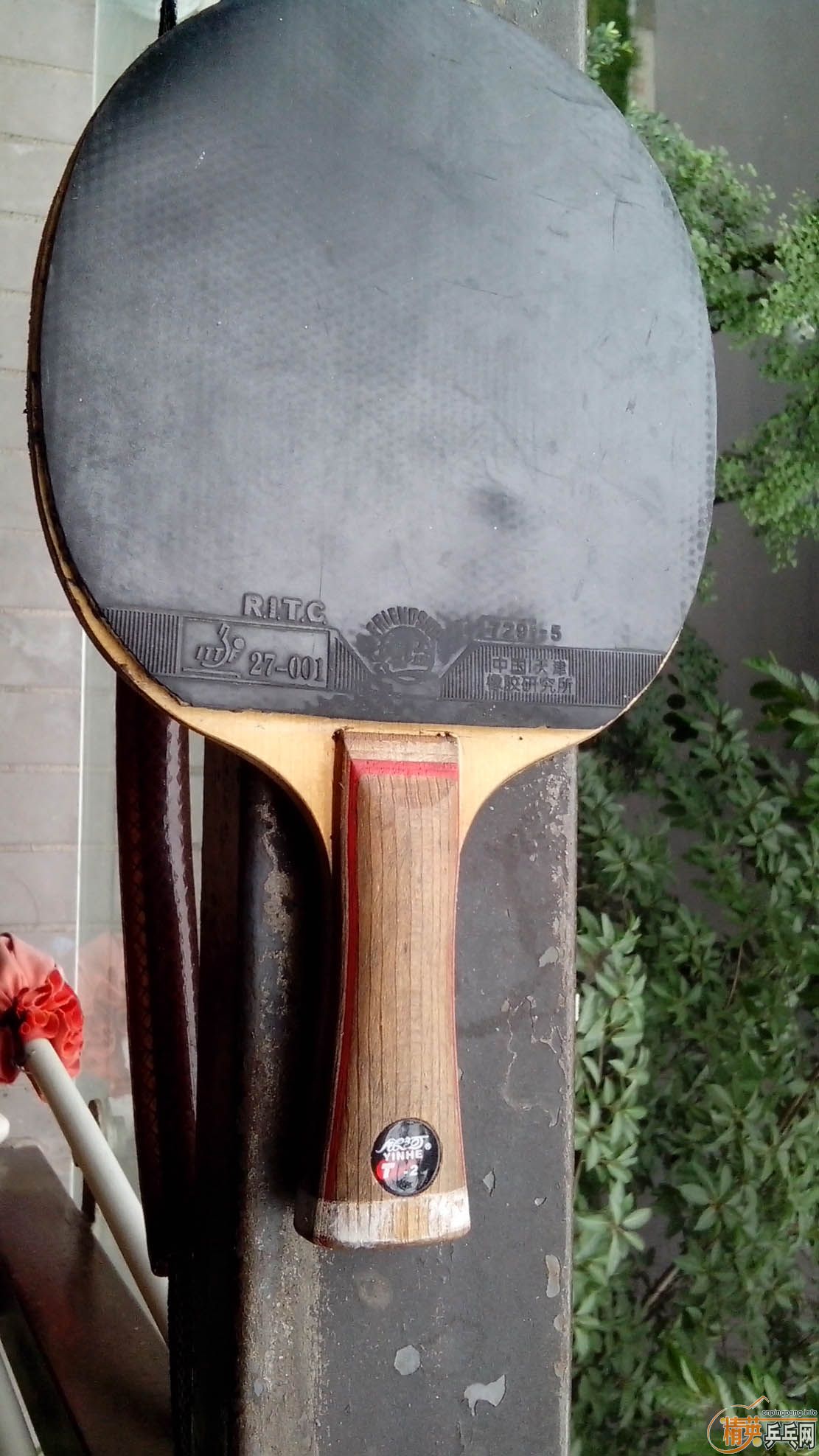 ����T2 ˫̼�� ��729�� ��80����