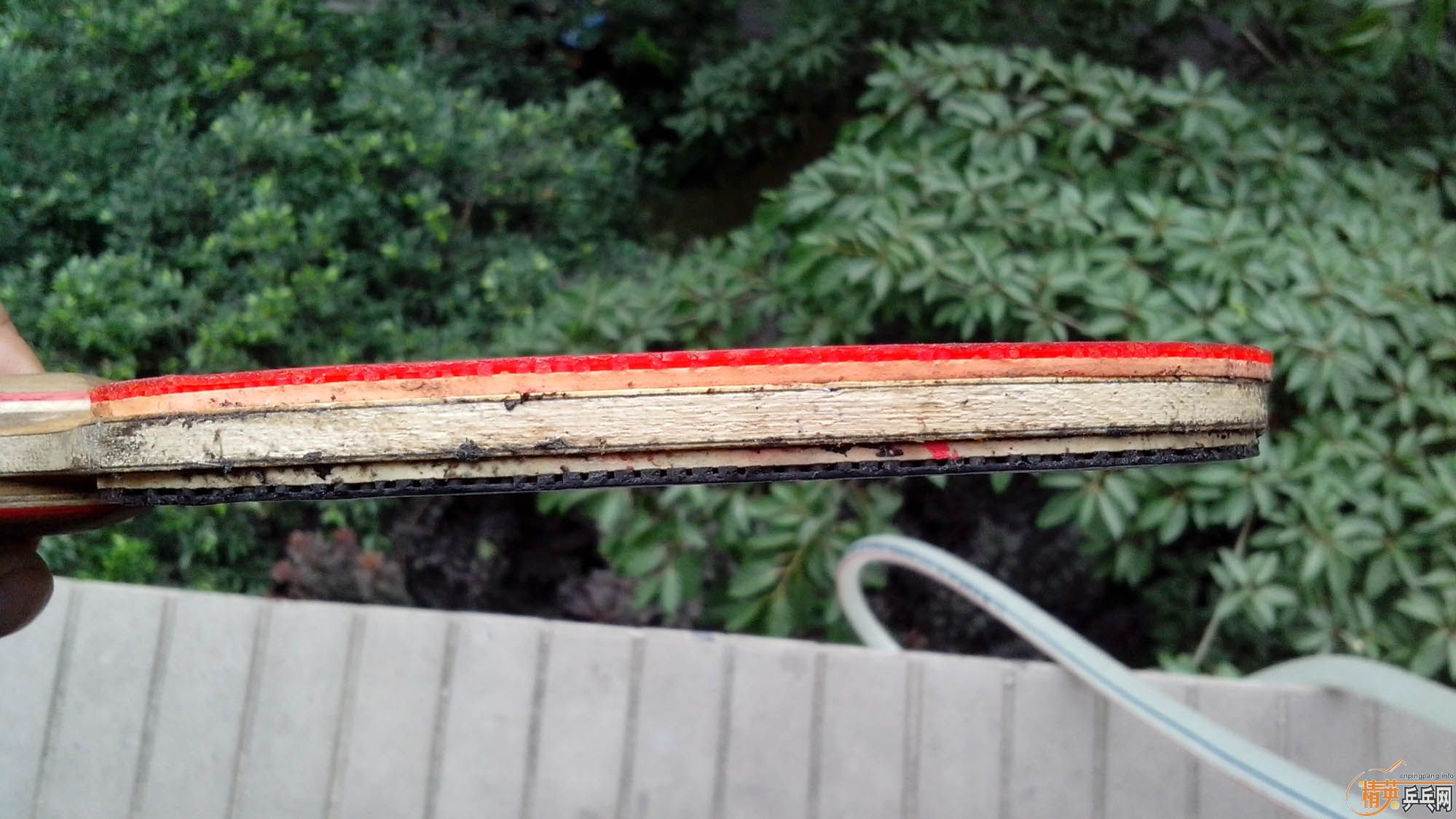 ����T2 ˫̼�� ��729�� ��80����