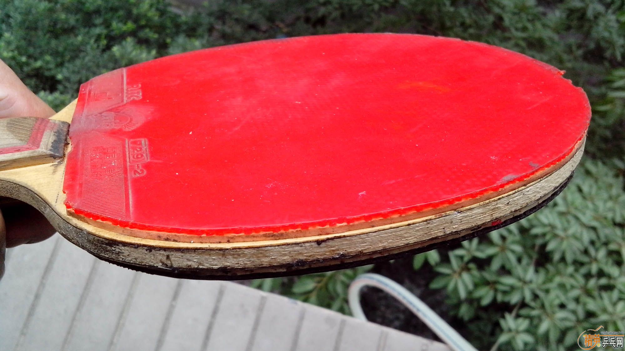 ����T2 ˫̼�� ��729�� ��80����