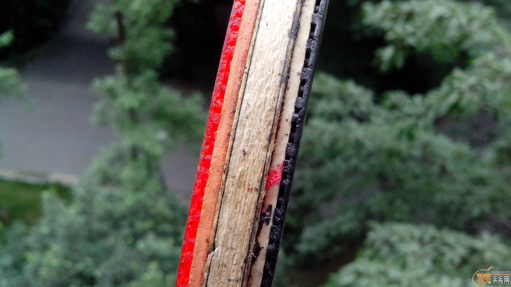 ����T2 ˫̼�� ��729�� ��80����