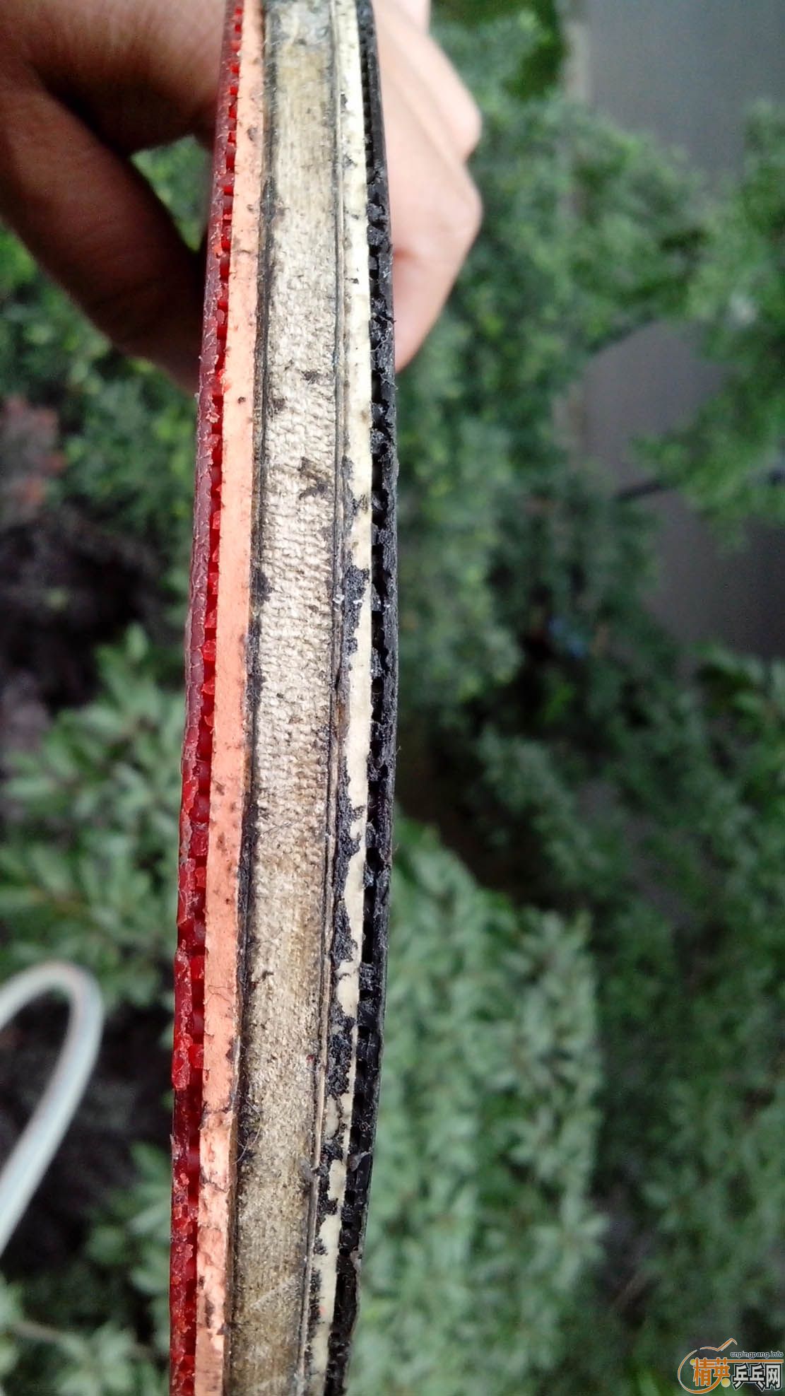 ����T2 ˫̼�� ��729�� ��80����