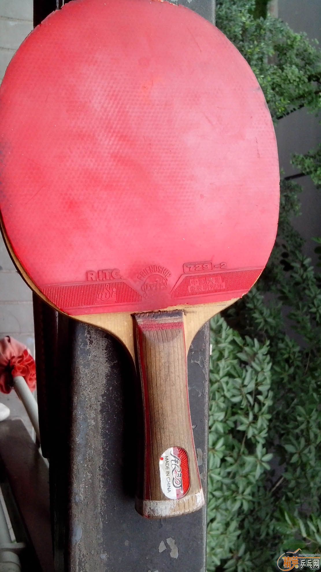 ����T2 ˫̼�� ��729�� ��80����