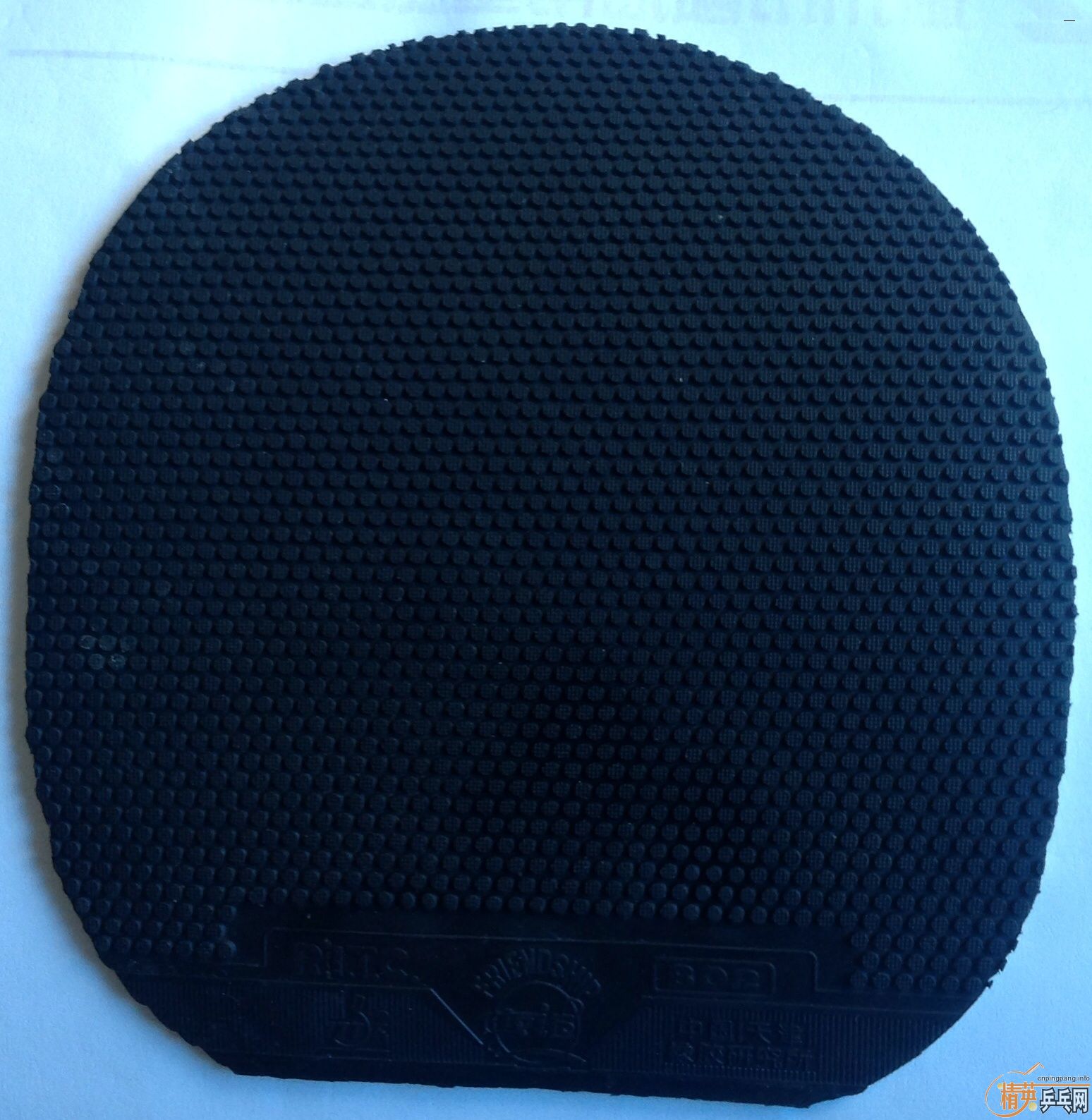 [�Ƽ�]����ͼƬ