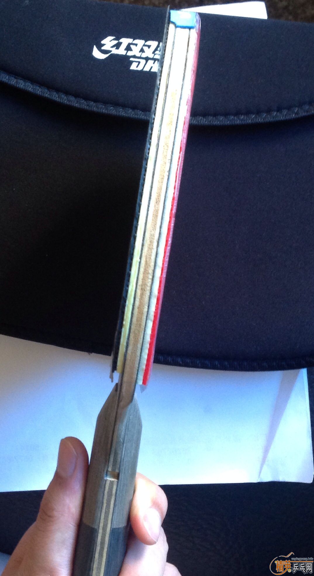 [�Ƽ�]���µ�ͼƬ