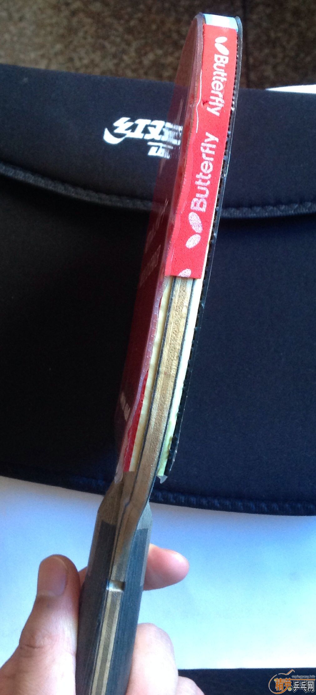 [�Ƽ�]���µ�ͼƬ