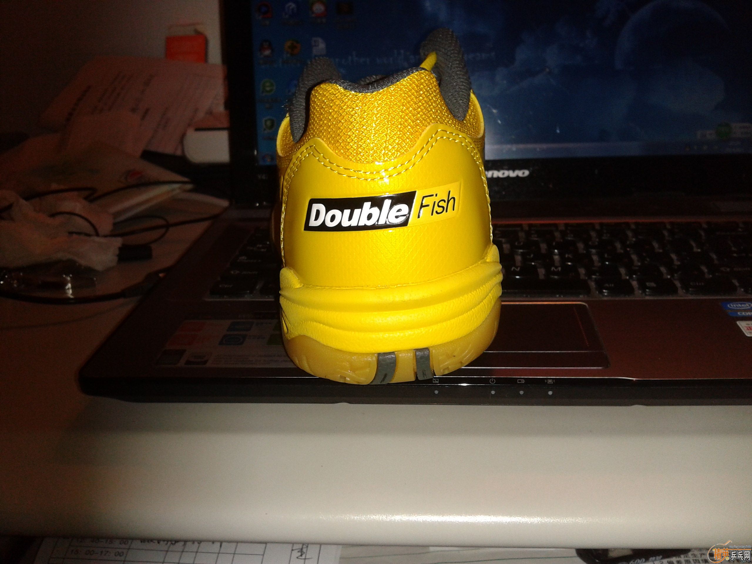 ��˫��ƹ����Ь