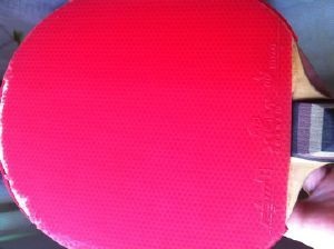 ŭ����500���ʳ�ȫ��