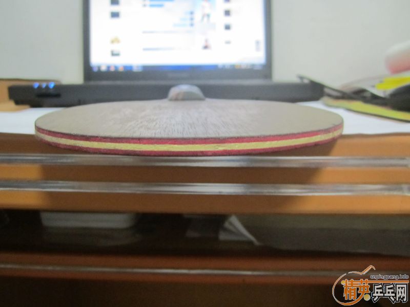 ŷ���������