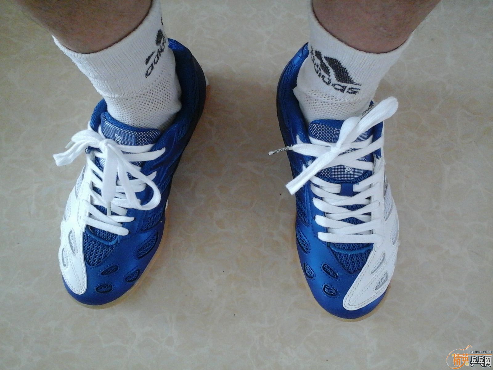 ����JOOLA��ɫ���Դ����