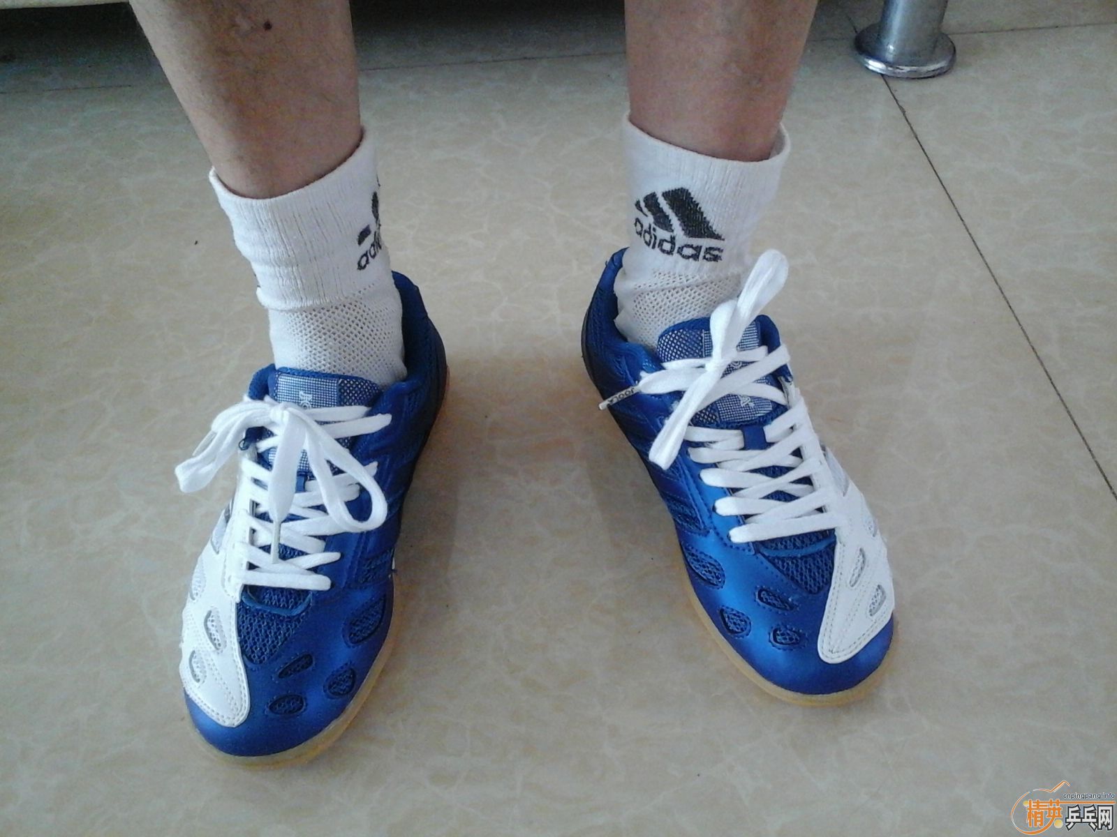 ����JOOLA��ɫ���Դ����