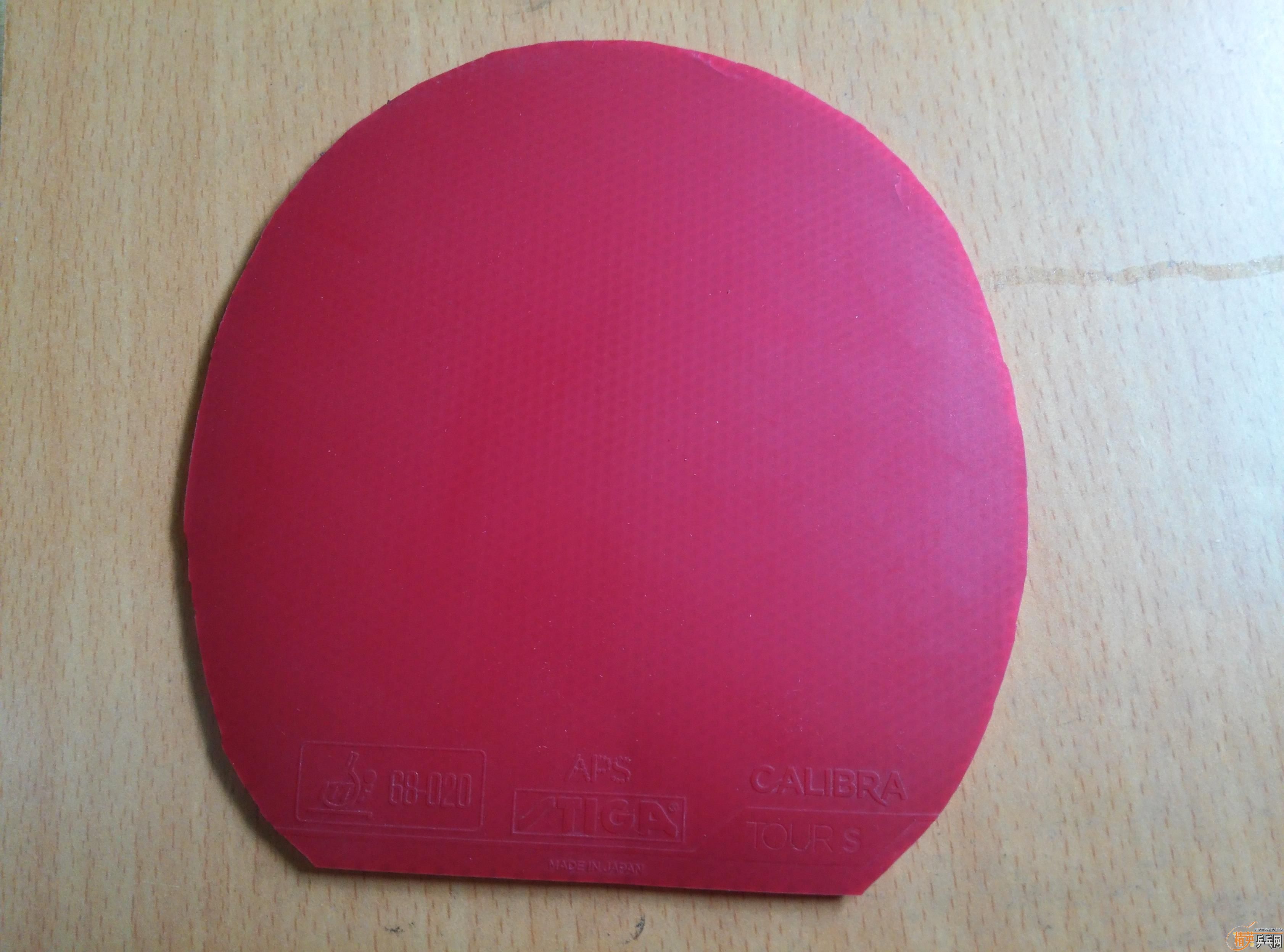 ����ɫ64�۸�ʵ�ݣ�˹�ٿ������׽�----CAIBRA  TOURS   �����ָеĽ���