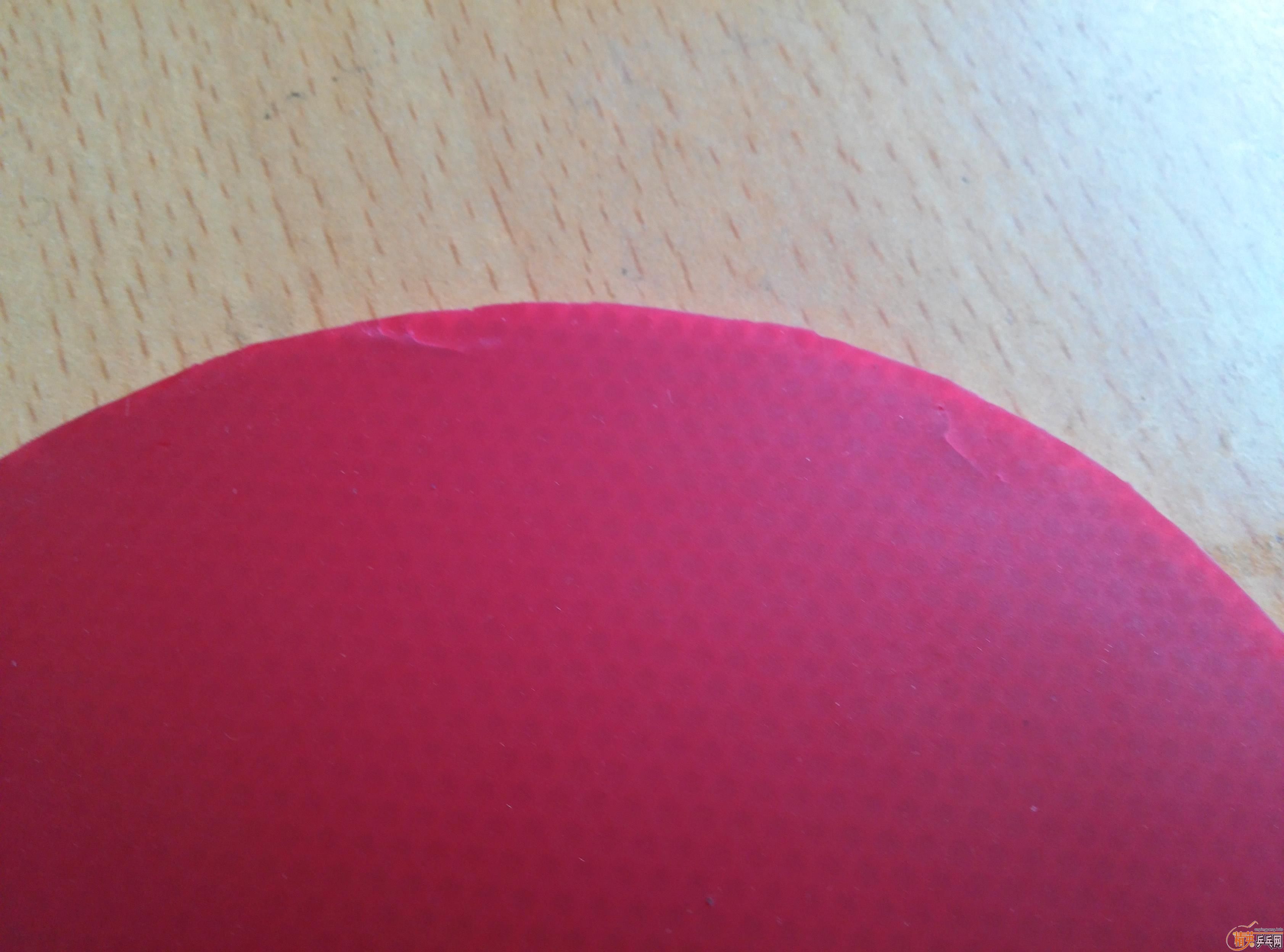 ����ɫ64�۸�ʵ�ݣ�˹�ٿ������׽�----CAIBRA  TOURS   �����ָеĽ���