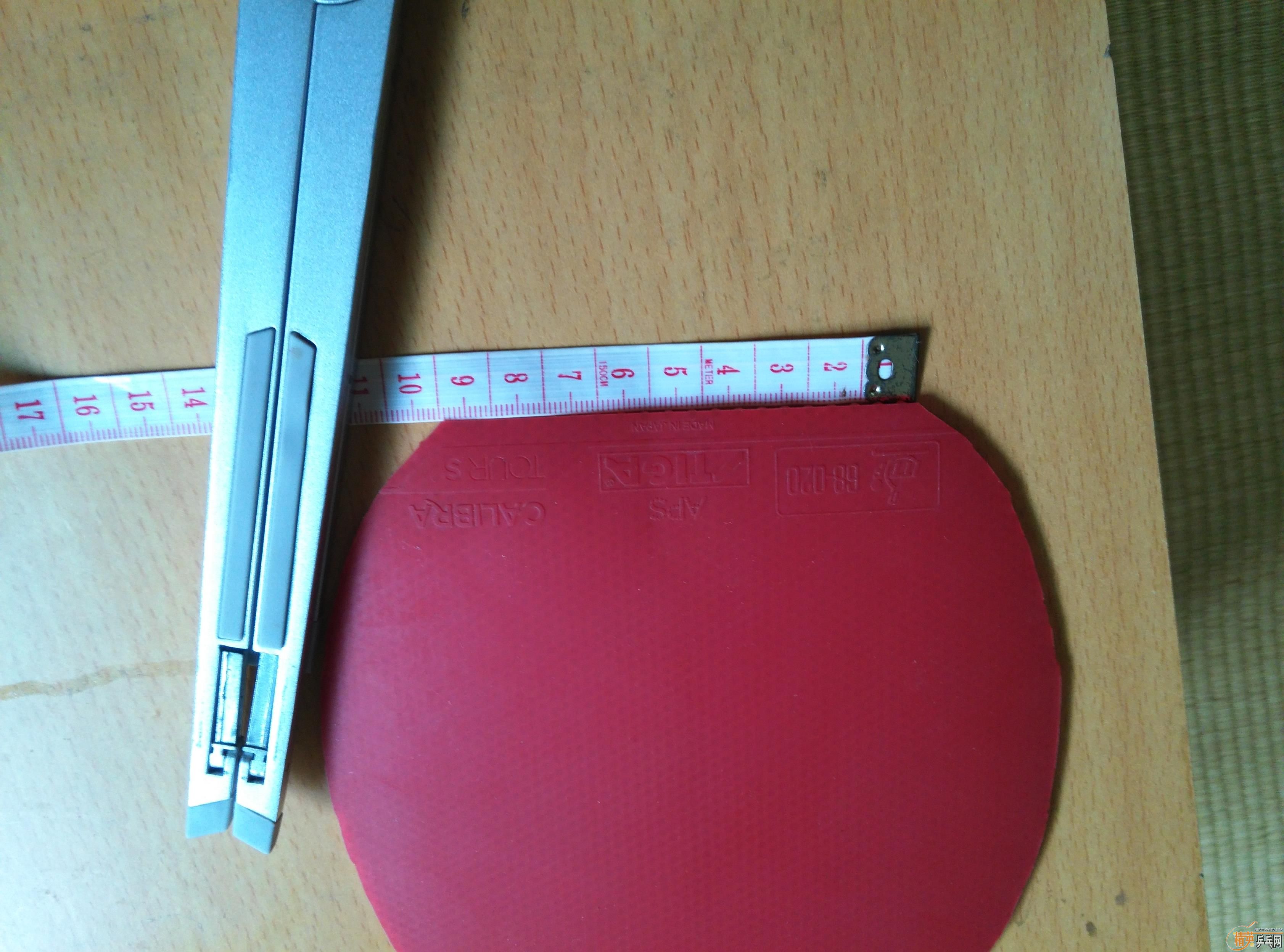 ����ɫ64�۸�ʵ�ݣ�˹�ٿ������׽�----CAIBRA  TOURS   �����ָеĽ���