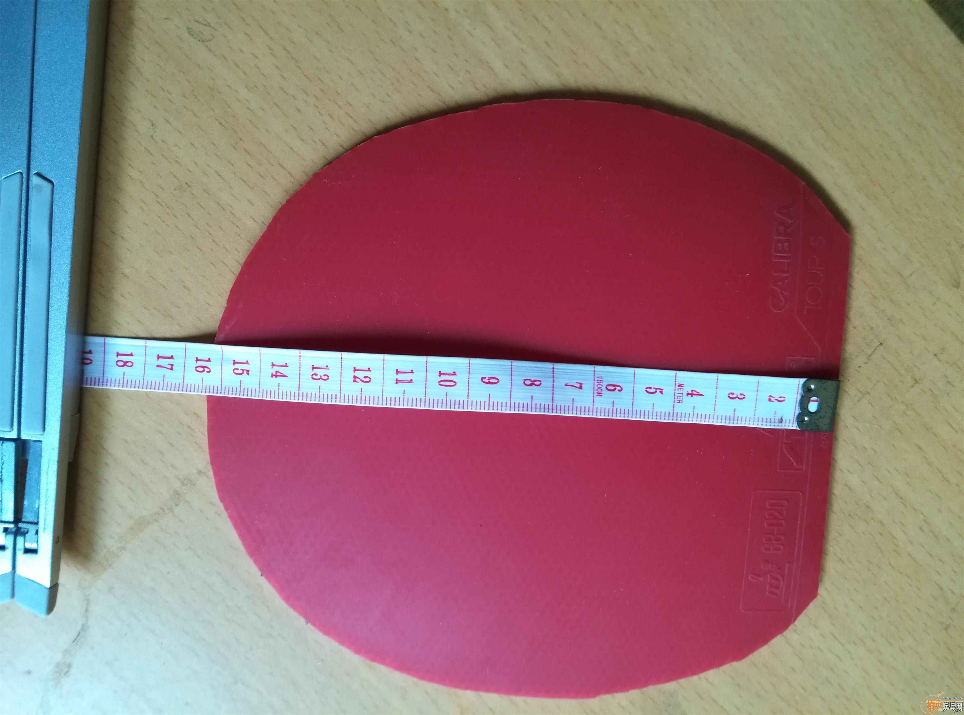 ����ɫ64�۸�ʵ�ݣ�˹�ٿ������׽�----CAIBRA  TOURS   �����ָеĽ���