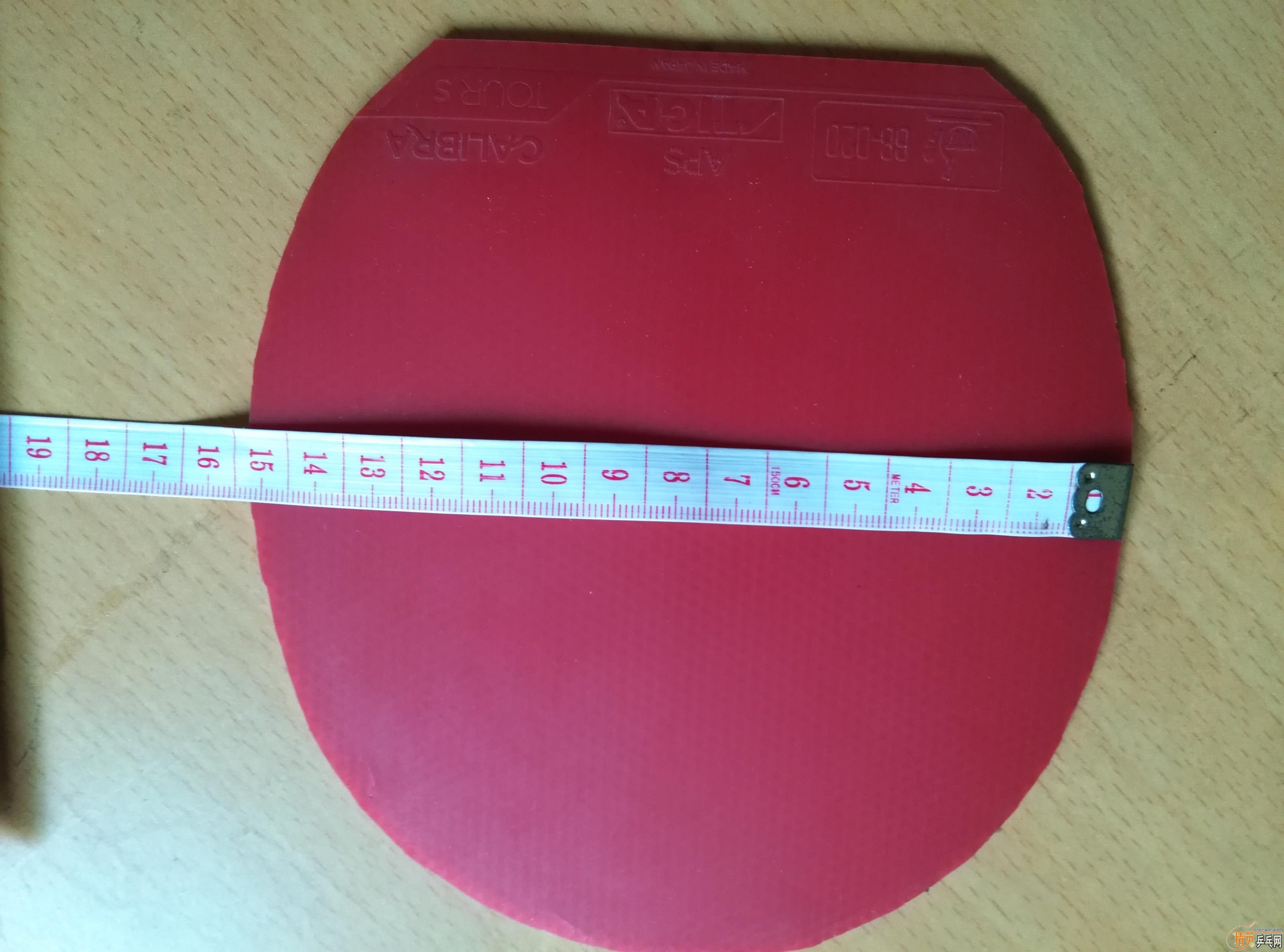 ����ɫ64�۸�ʵ�ݣ�˹�ٿ������׽�----CAIBRA  TOURS   �����ָеĽ���