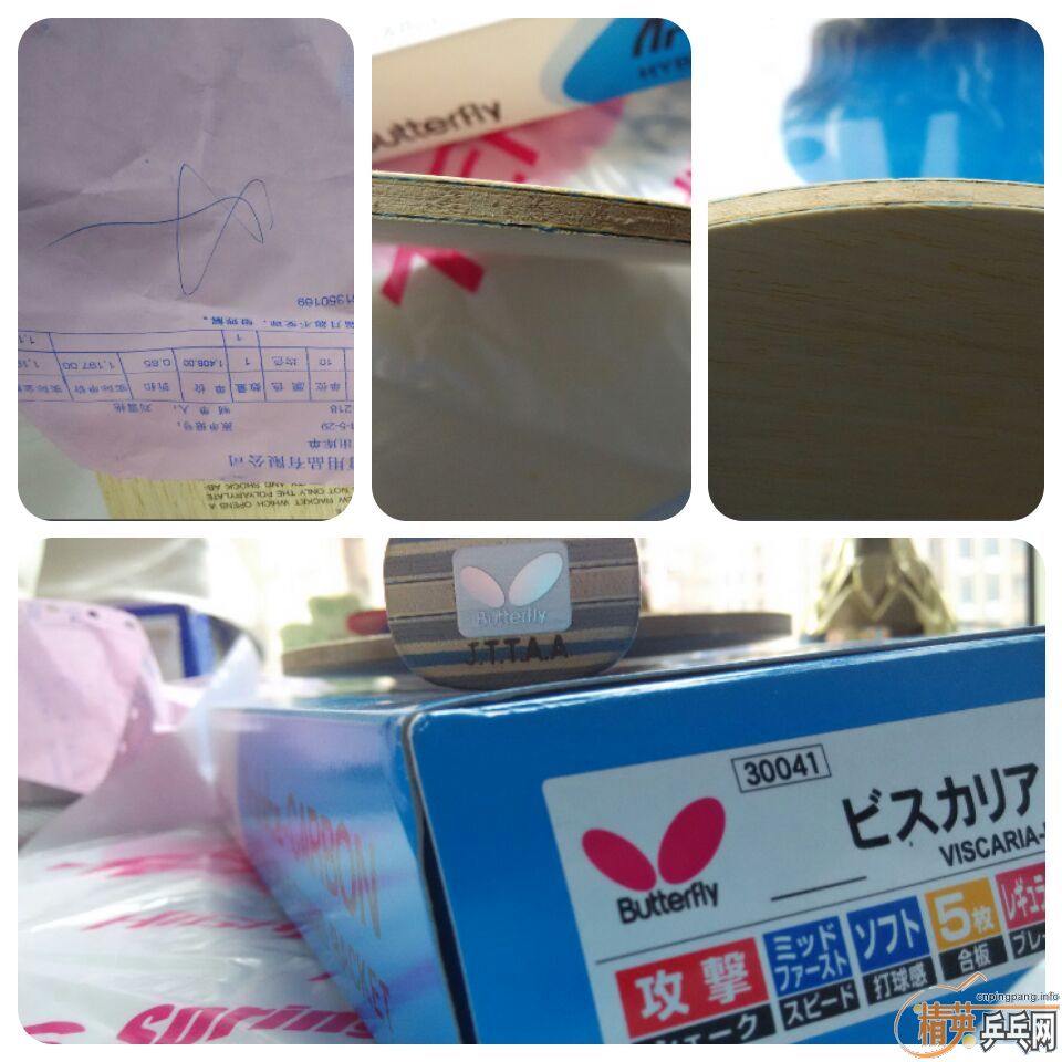 ������Viscaria FL