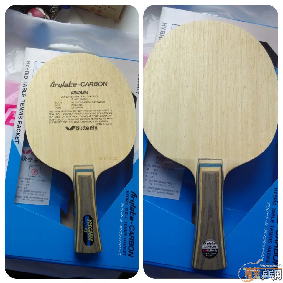 ������Viscaria FL