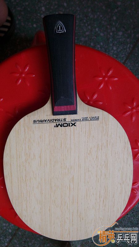 ��������ʱ��������9.5������˿����230��