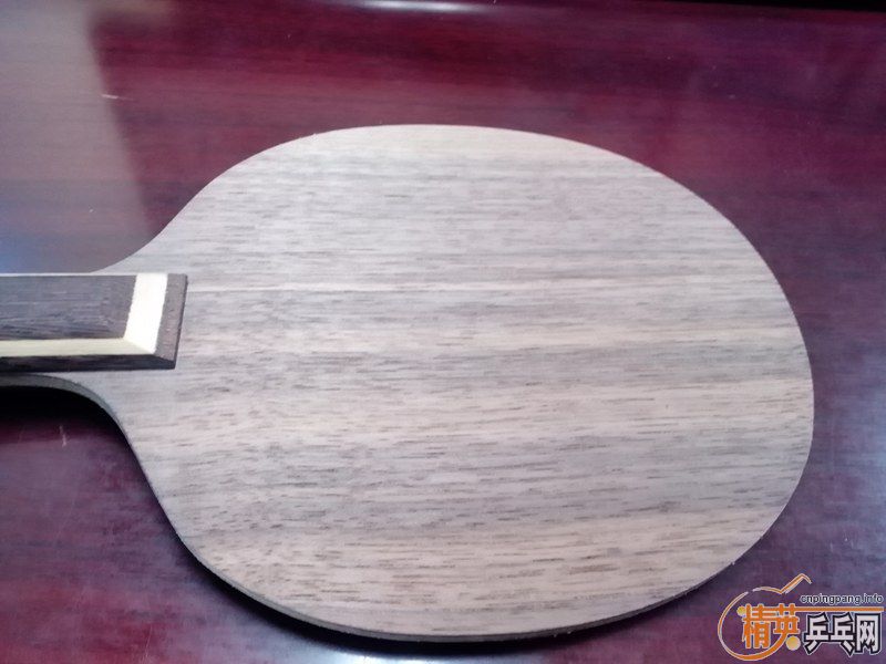 ��һ֧99�µ�nittaku����rutis st���װ�