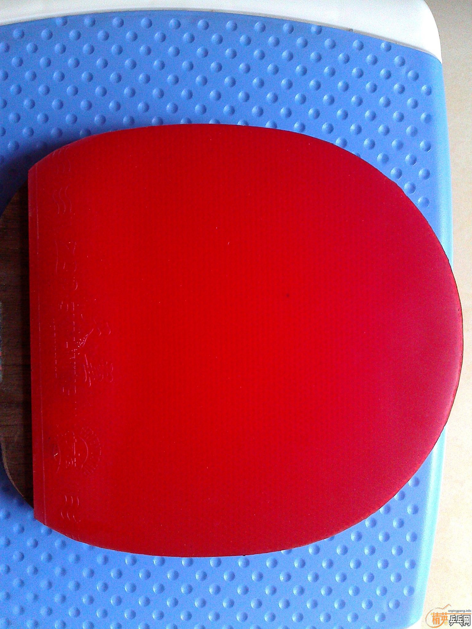 ���� ����  ��Ʒ729