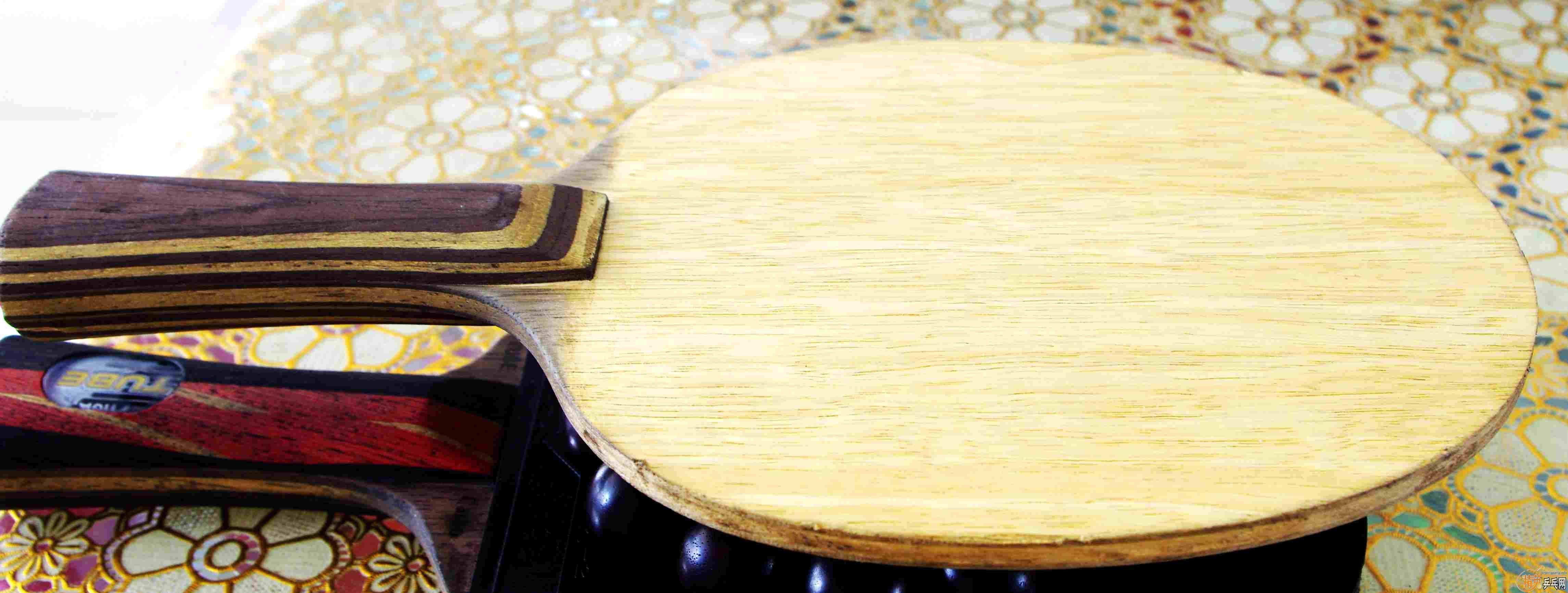 �Ʊ�����������