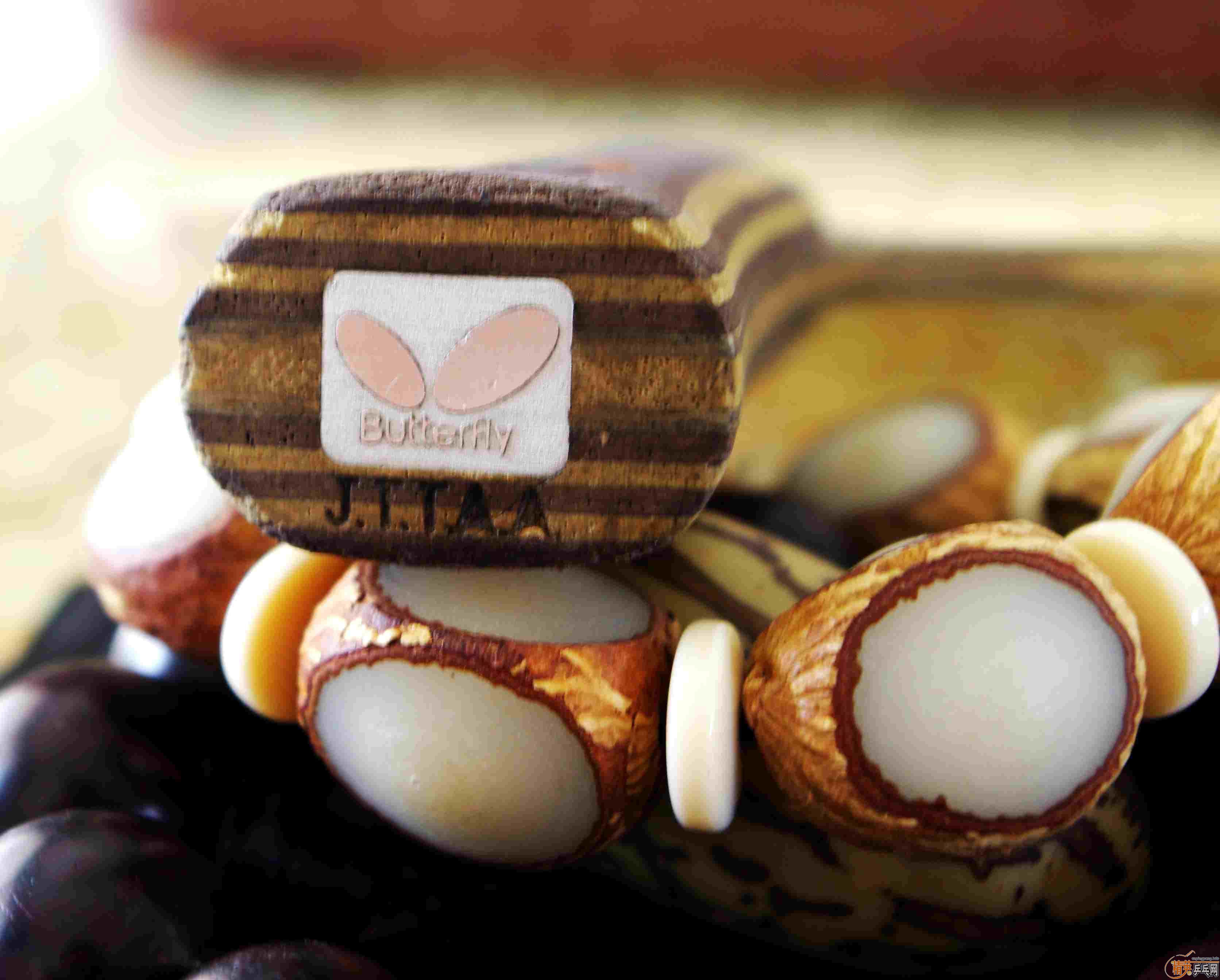 �Ʊ�����������