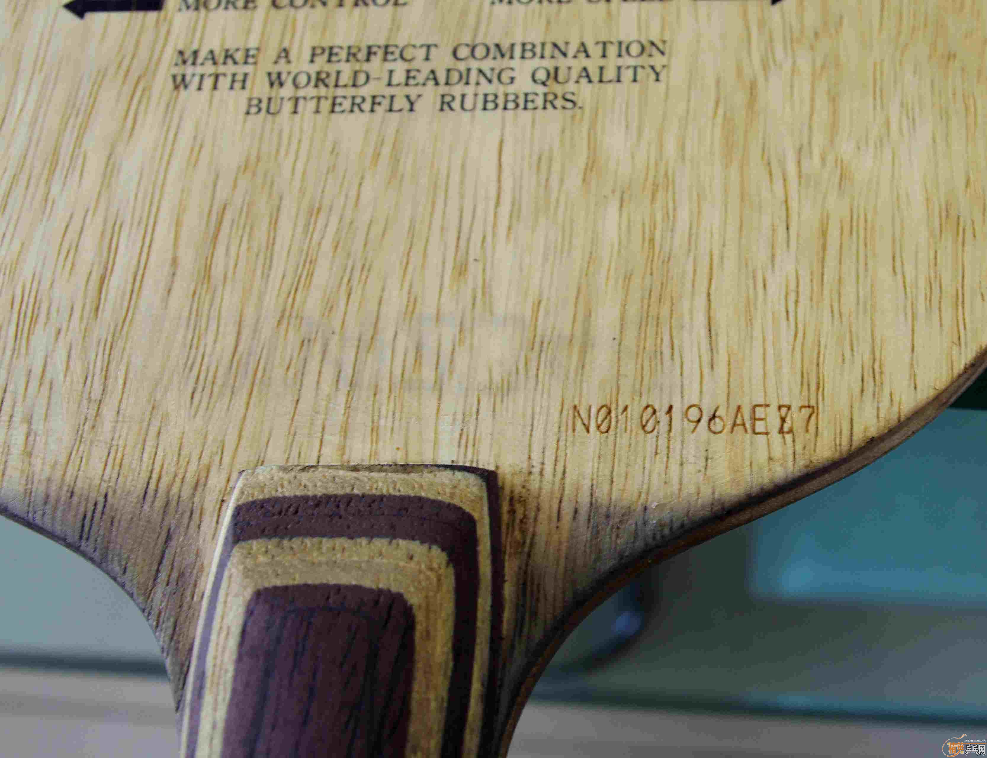 �Ʊ�����������