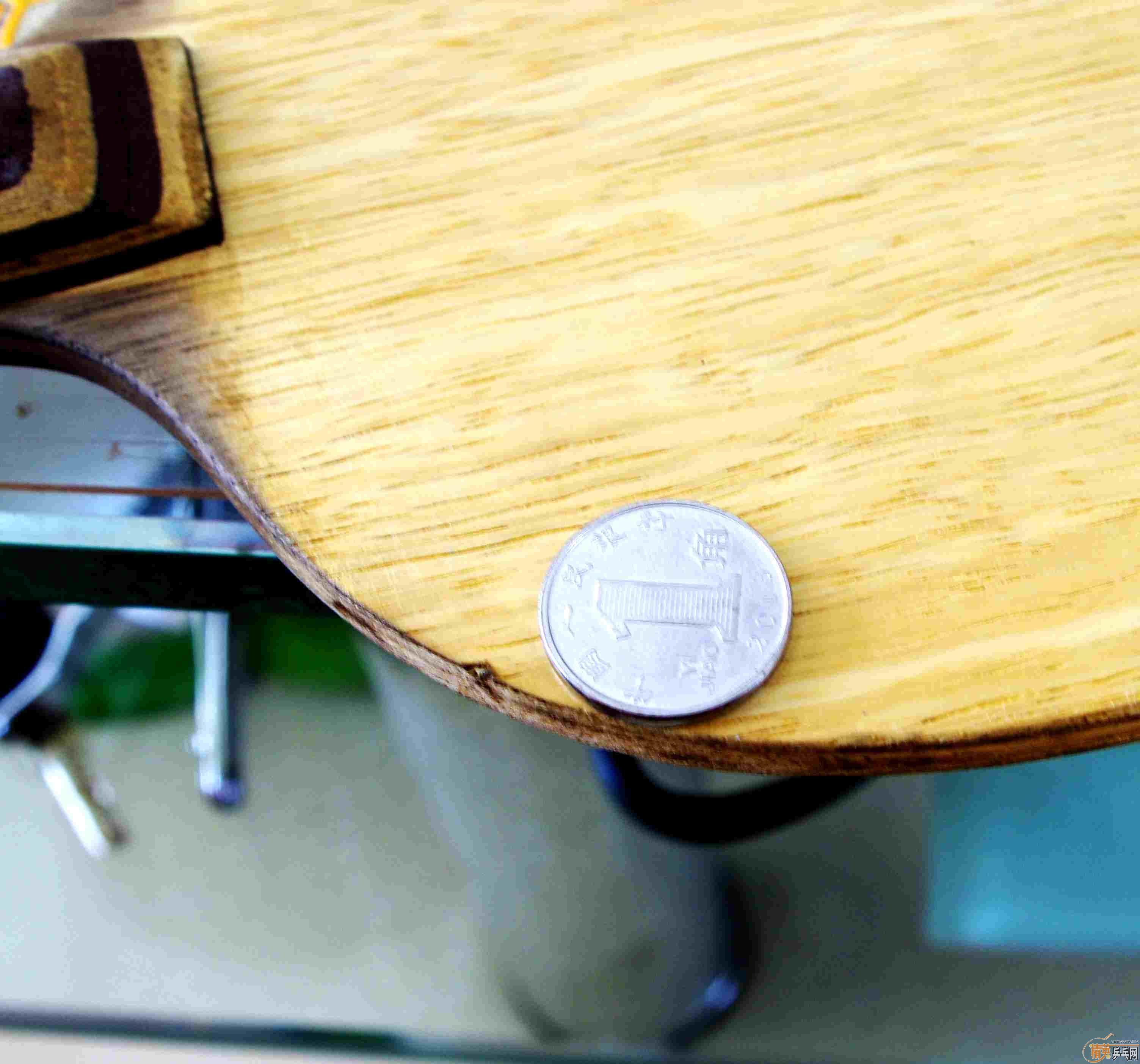 �Ʊ�����������