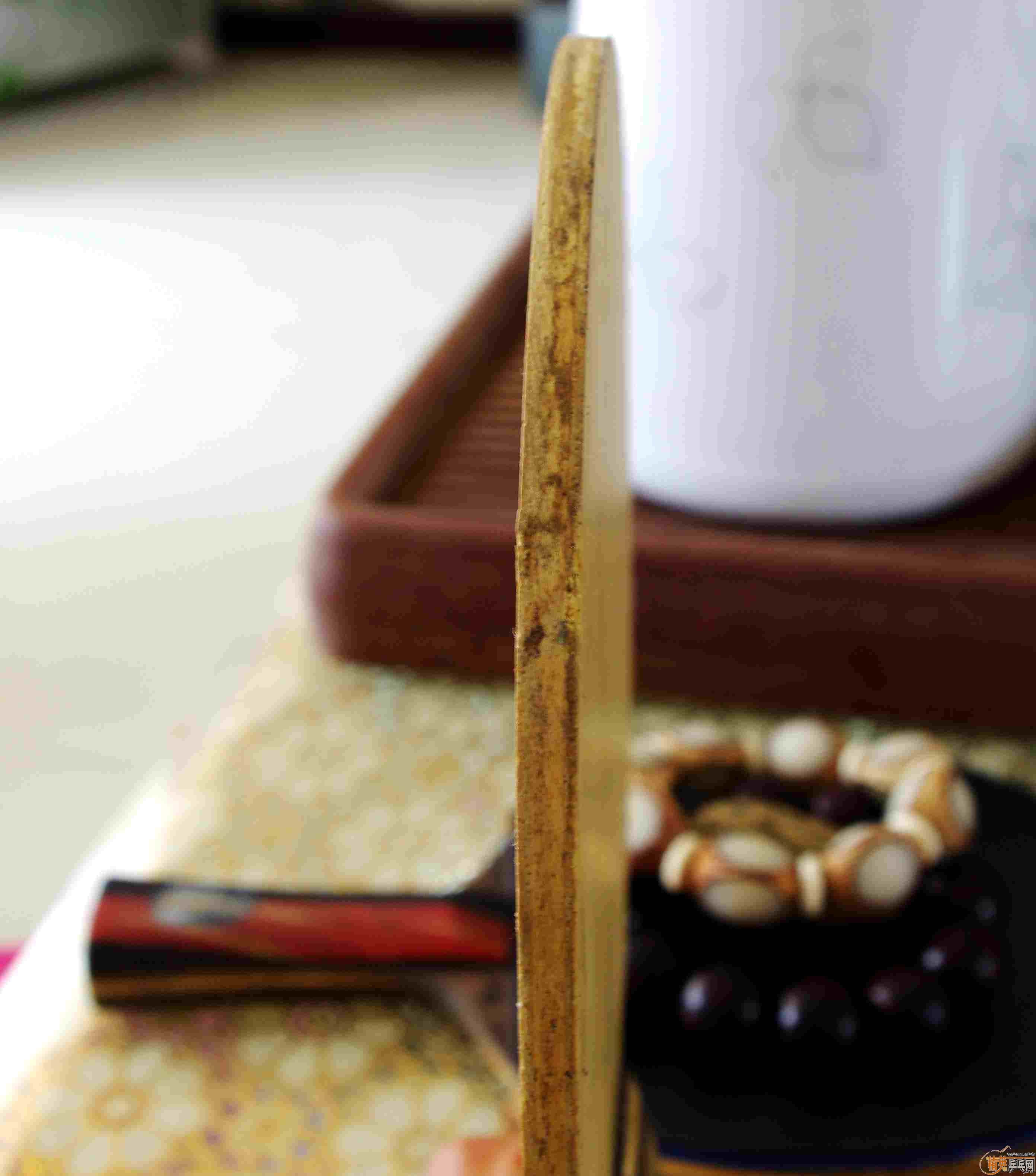 �Ʊ�����������