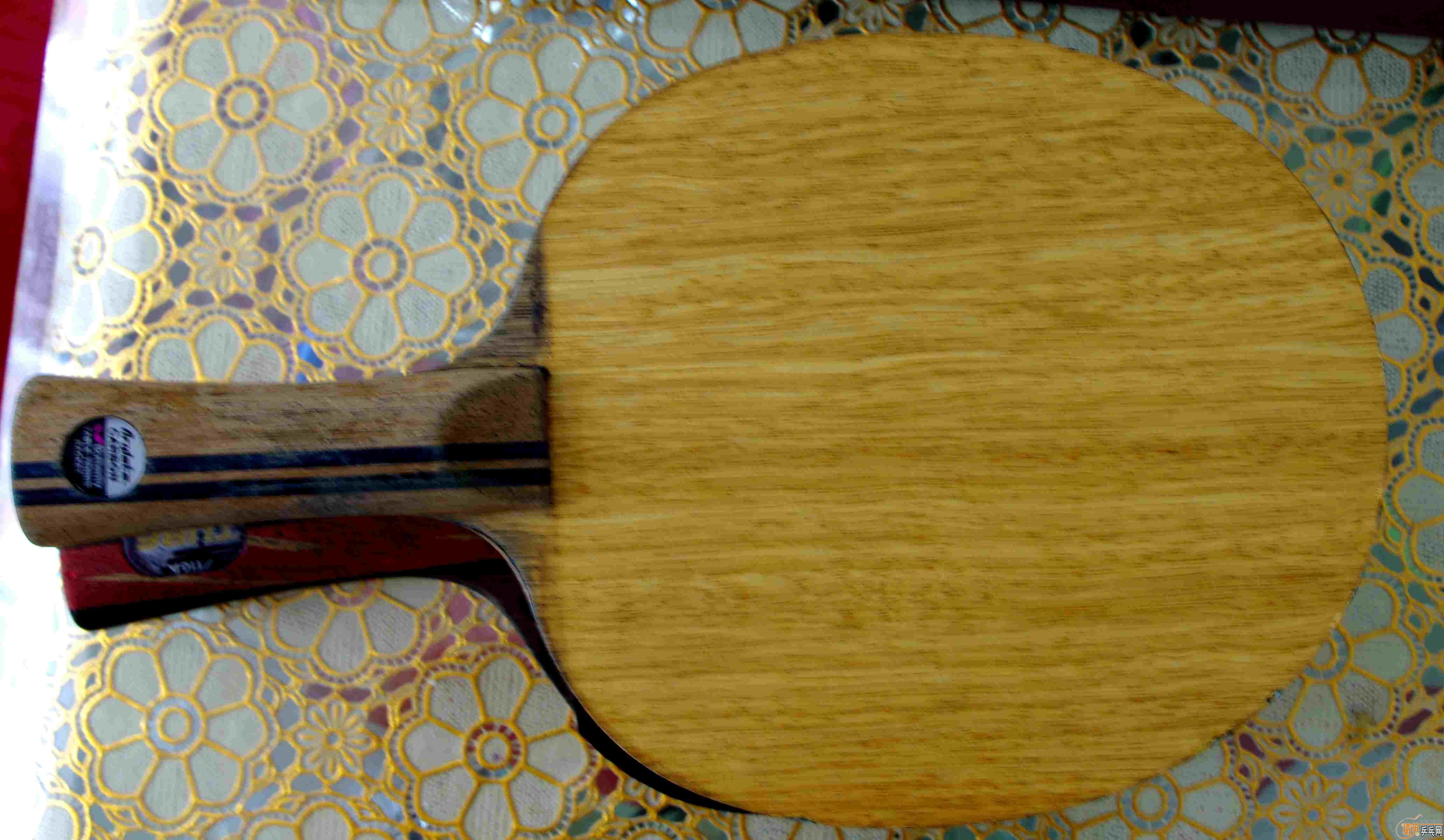 �Ʊ�����������